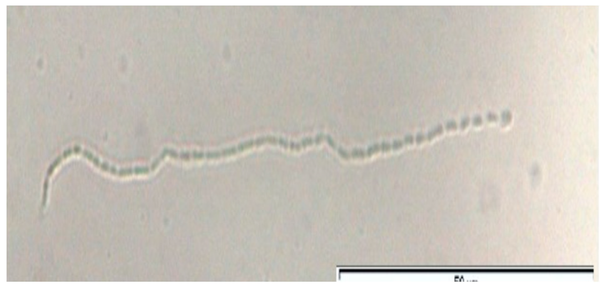 Toxins 14 00638 g001