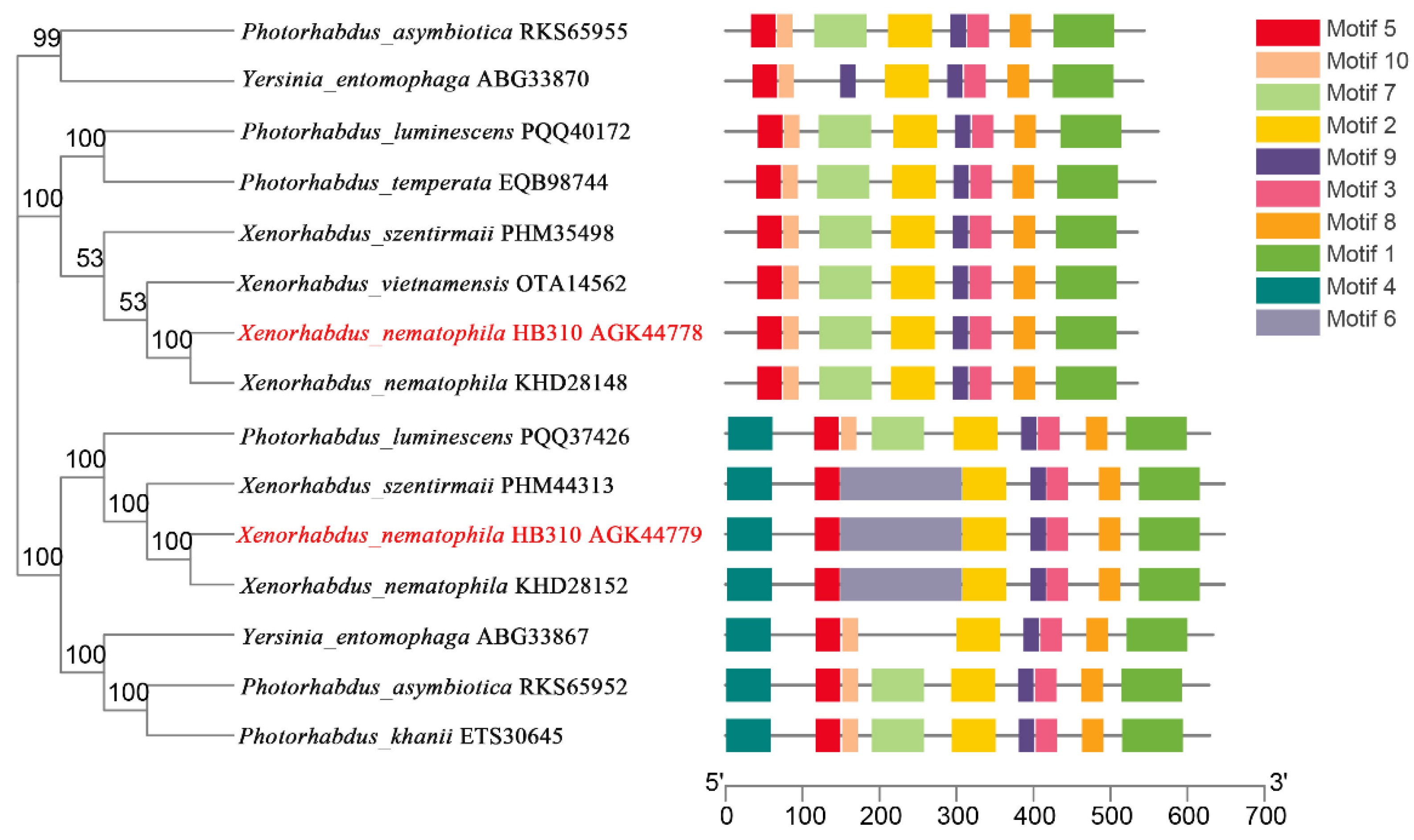 Toxins 14 00646 g002