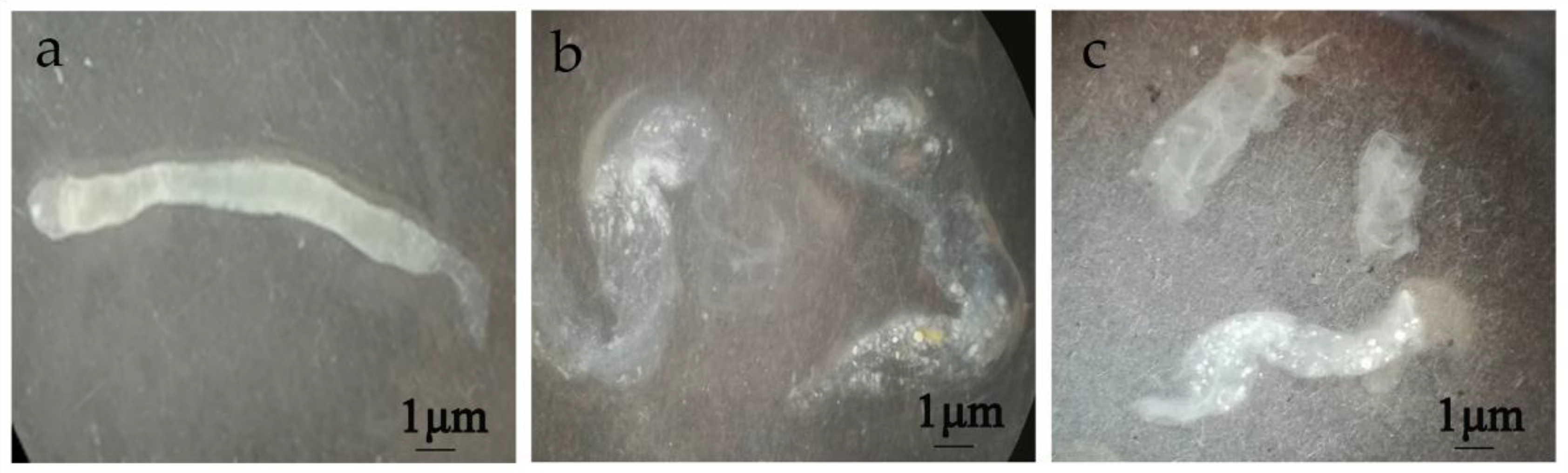 Toxins 14 00646 g003