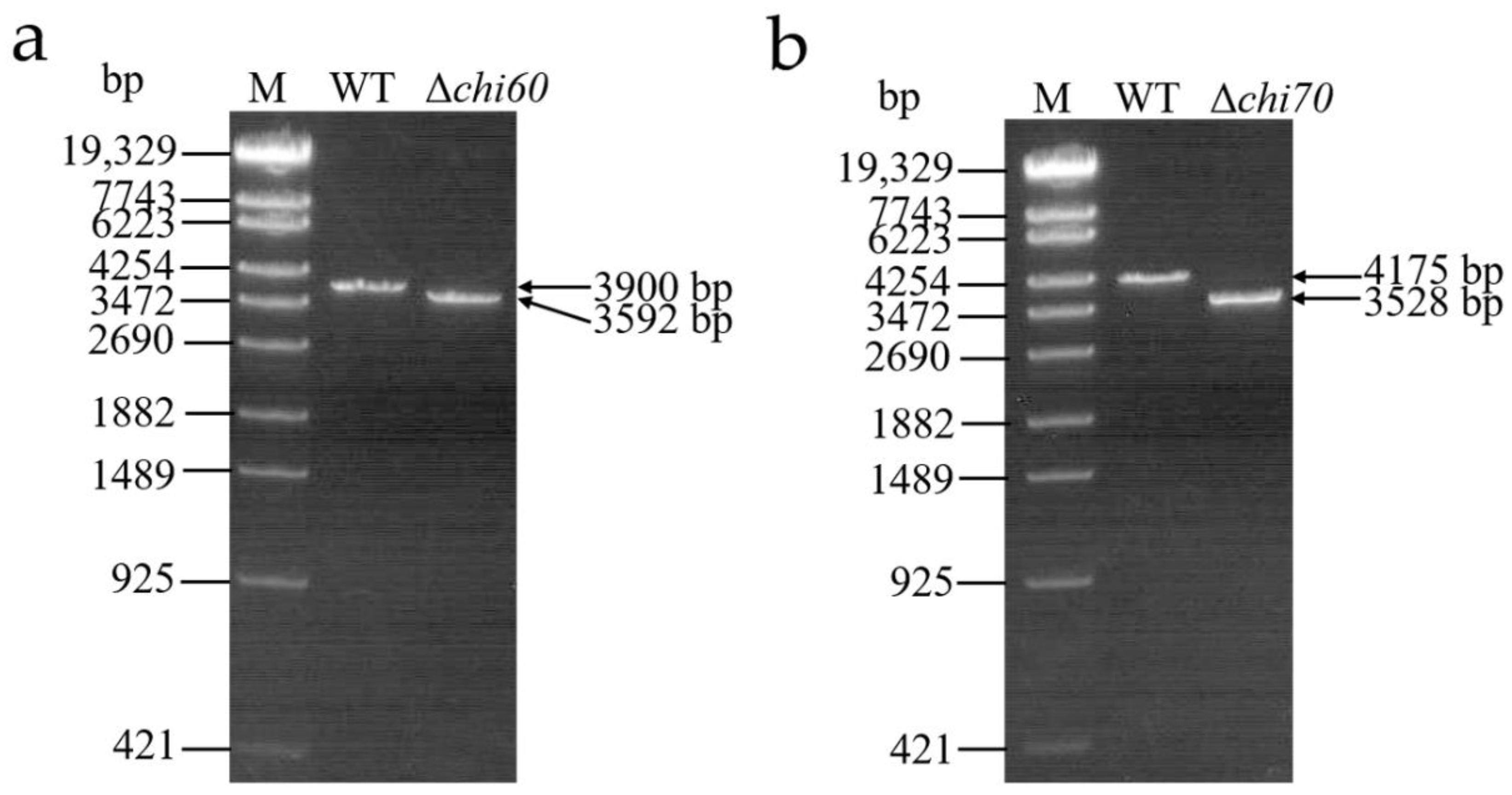 Toxins 14 00646 g005