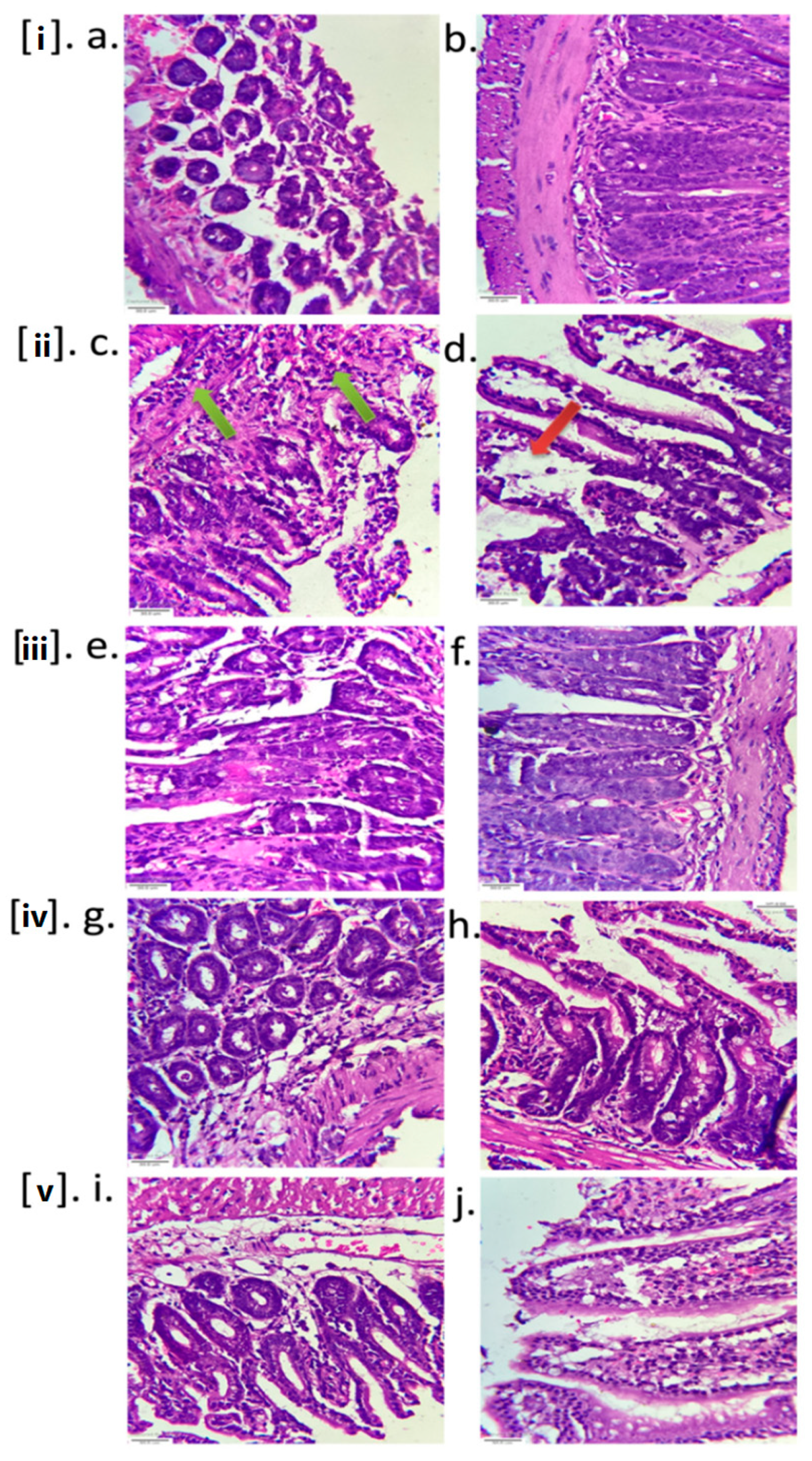 Toxins 14 00649 g008