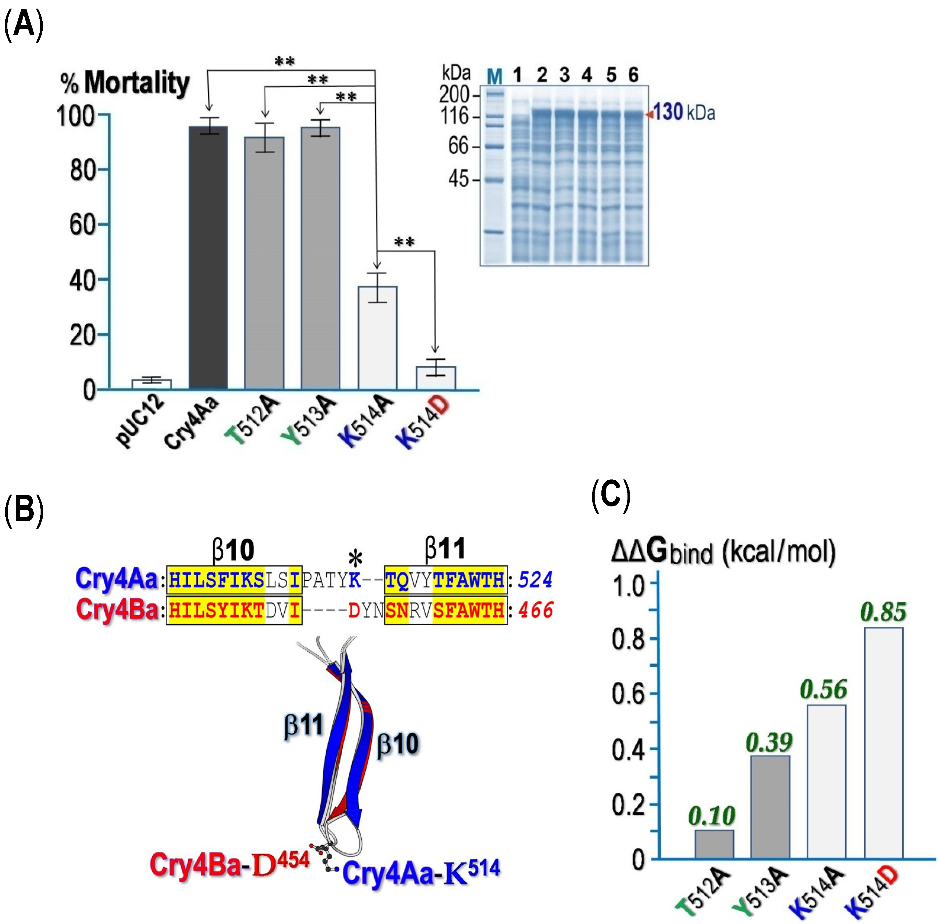 Toxins 14 00652 g008