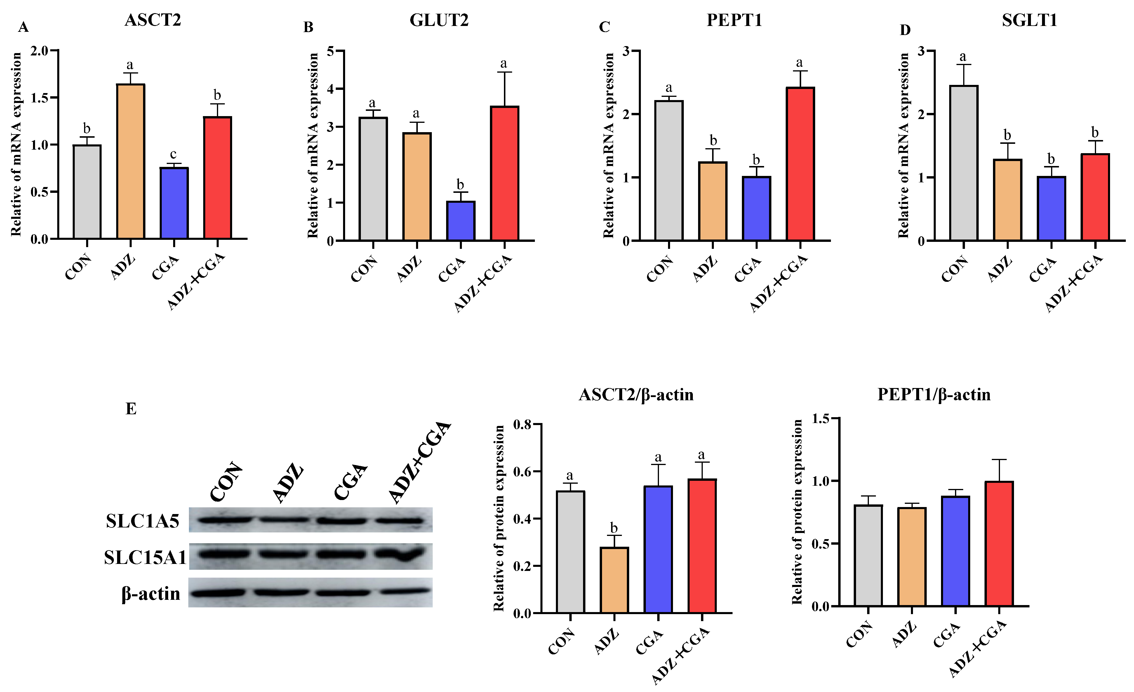 Toxins 14 00670 g006