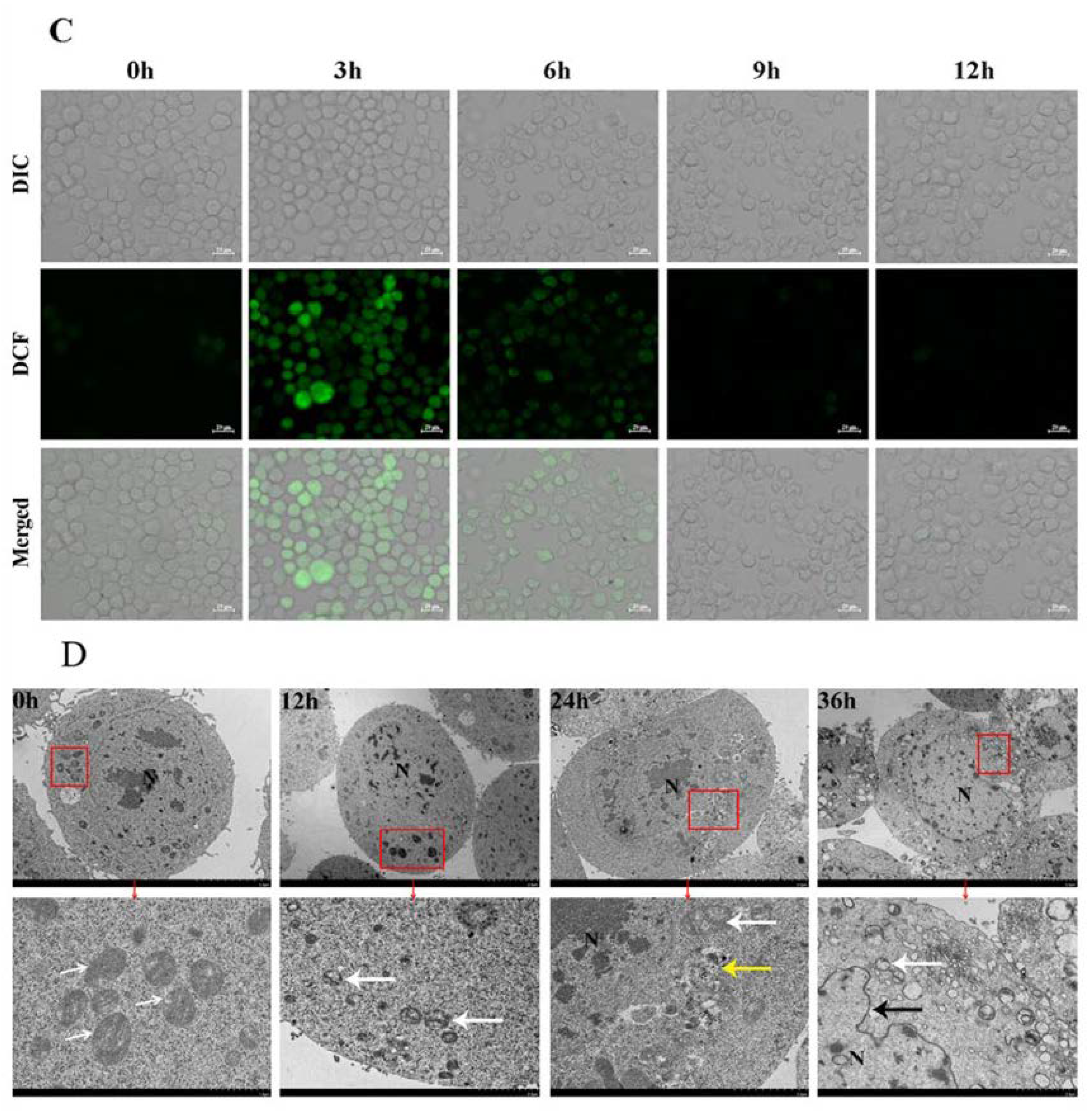 Toxins 14 00677 g003b 550