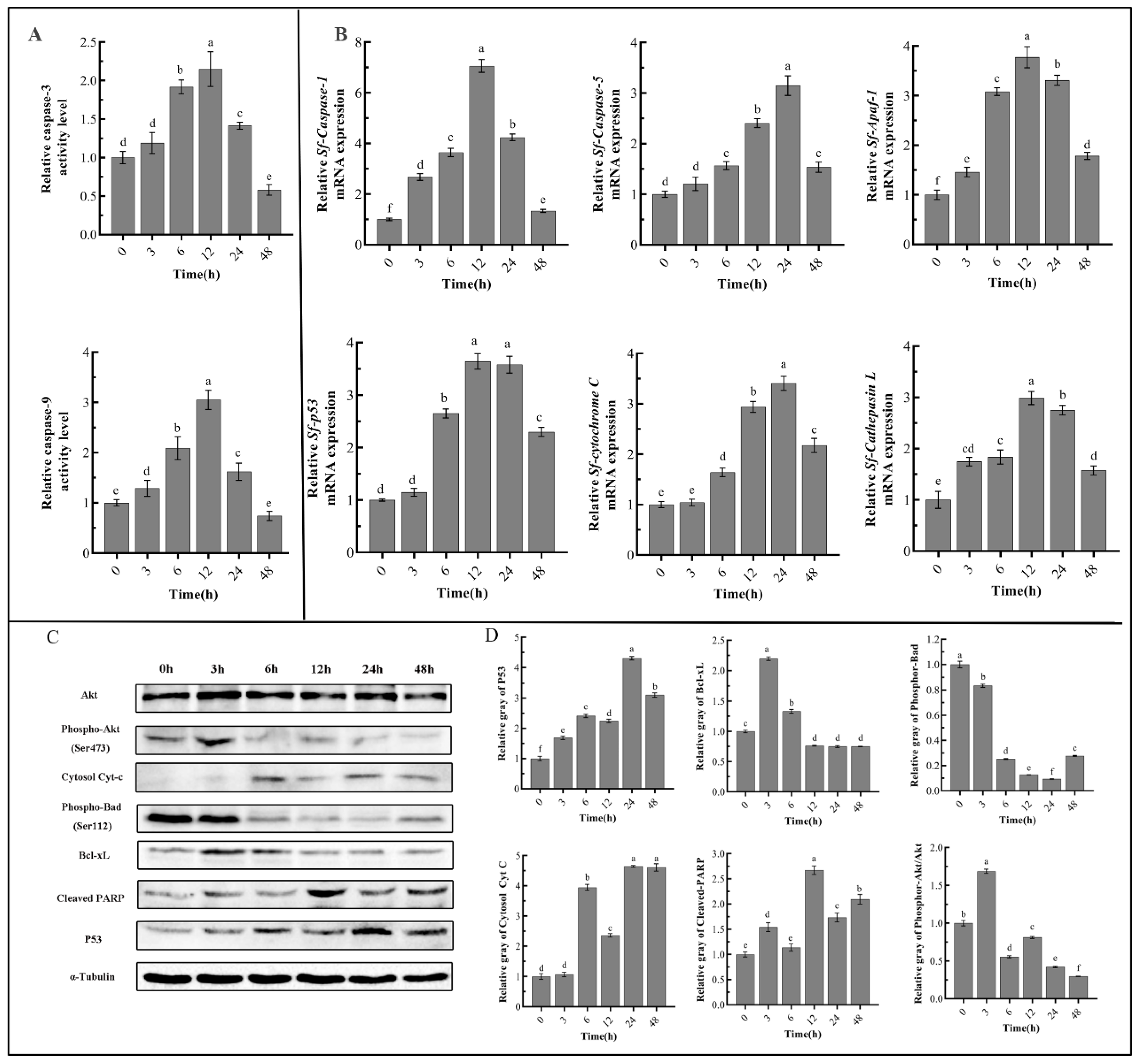 Toxins 14 00677 g005 550