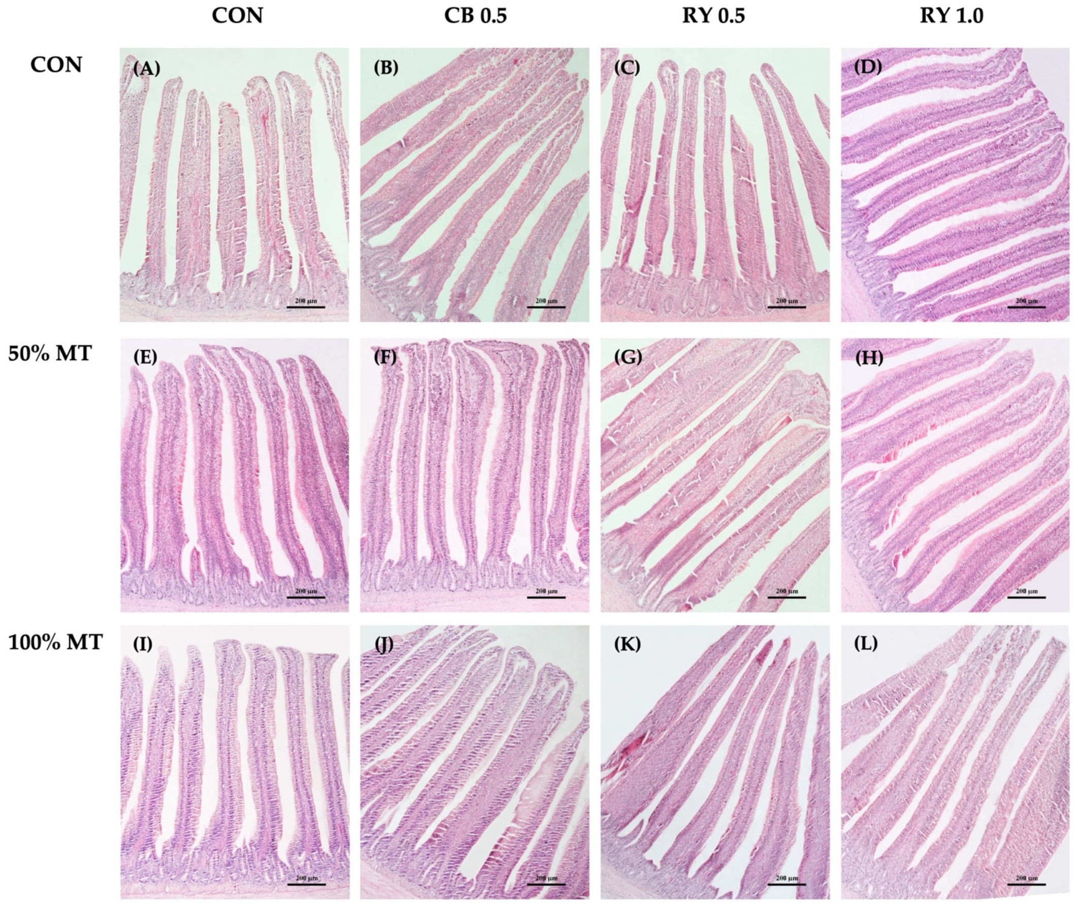Toxins 14 00678 g004 Toxins 14 00678 g004