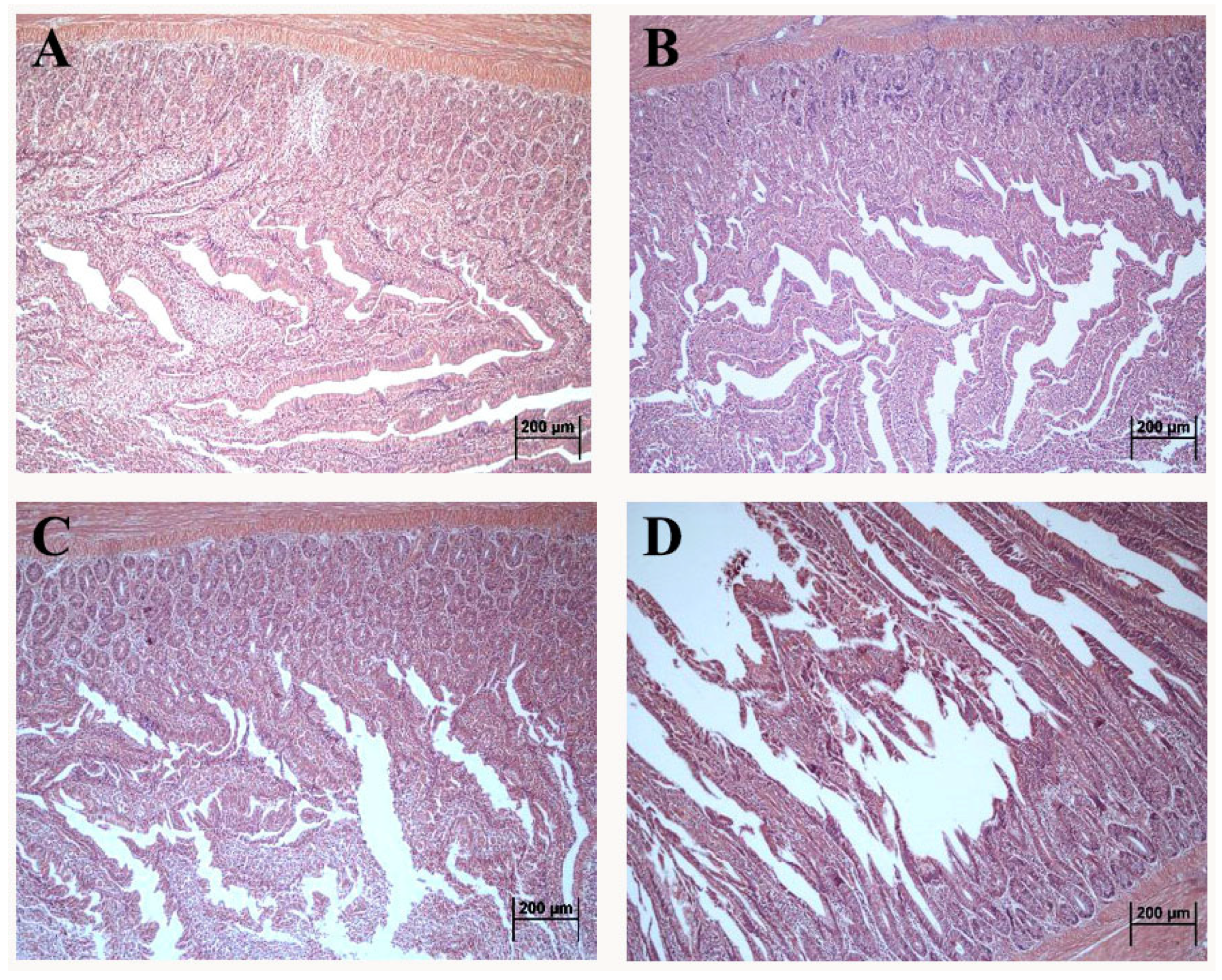 Toxins 14 00682 g001 Toxins 14 00682 g001