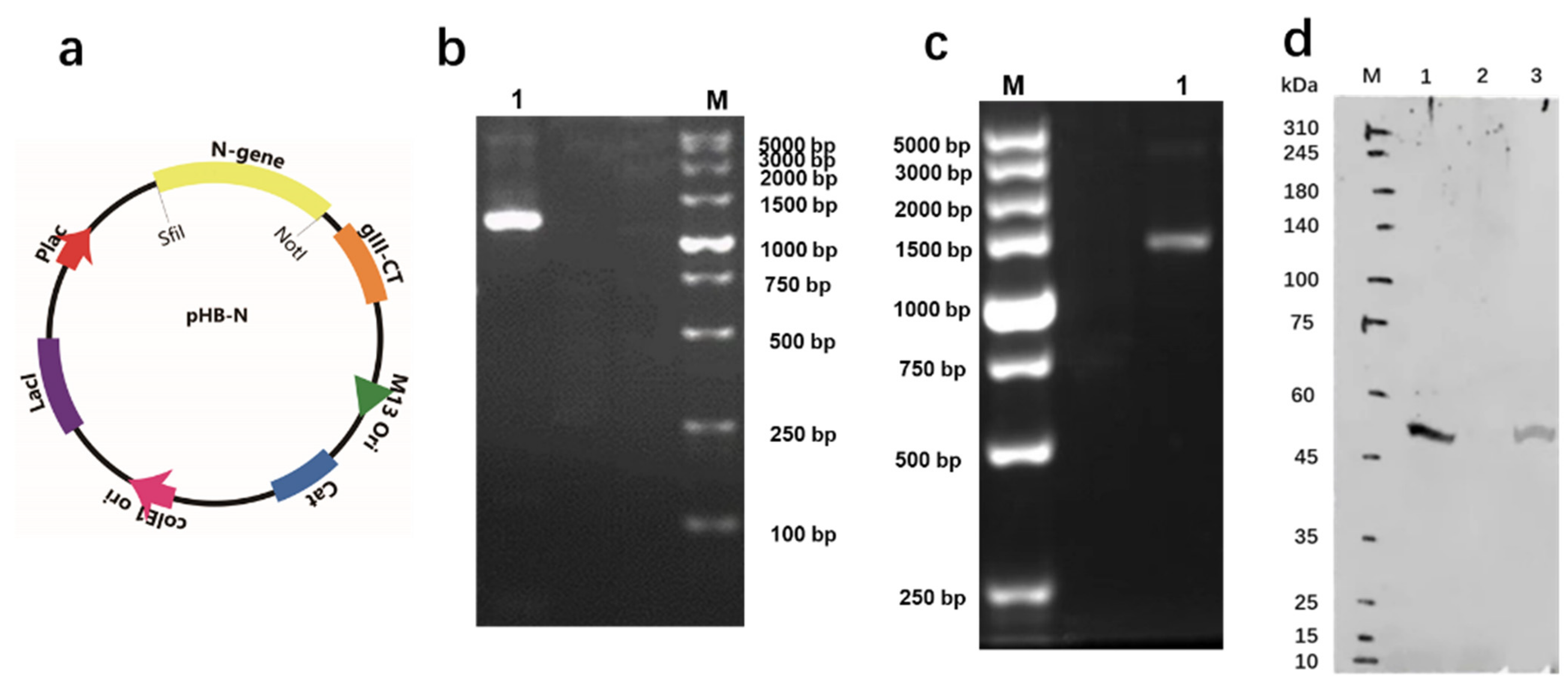 Toxins 14 00683 g002 Toxins 14 00683 g002