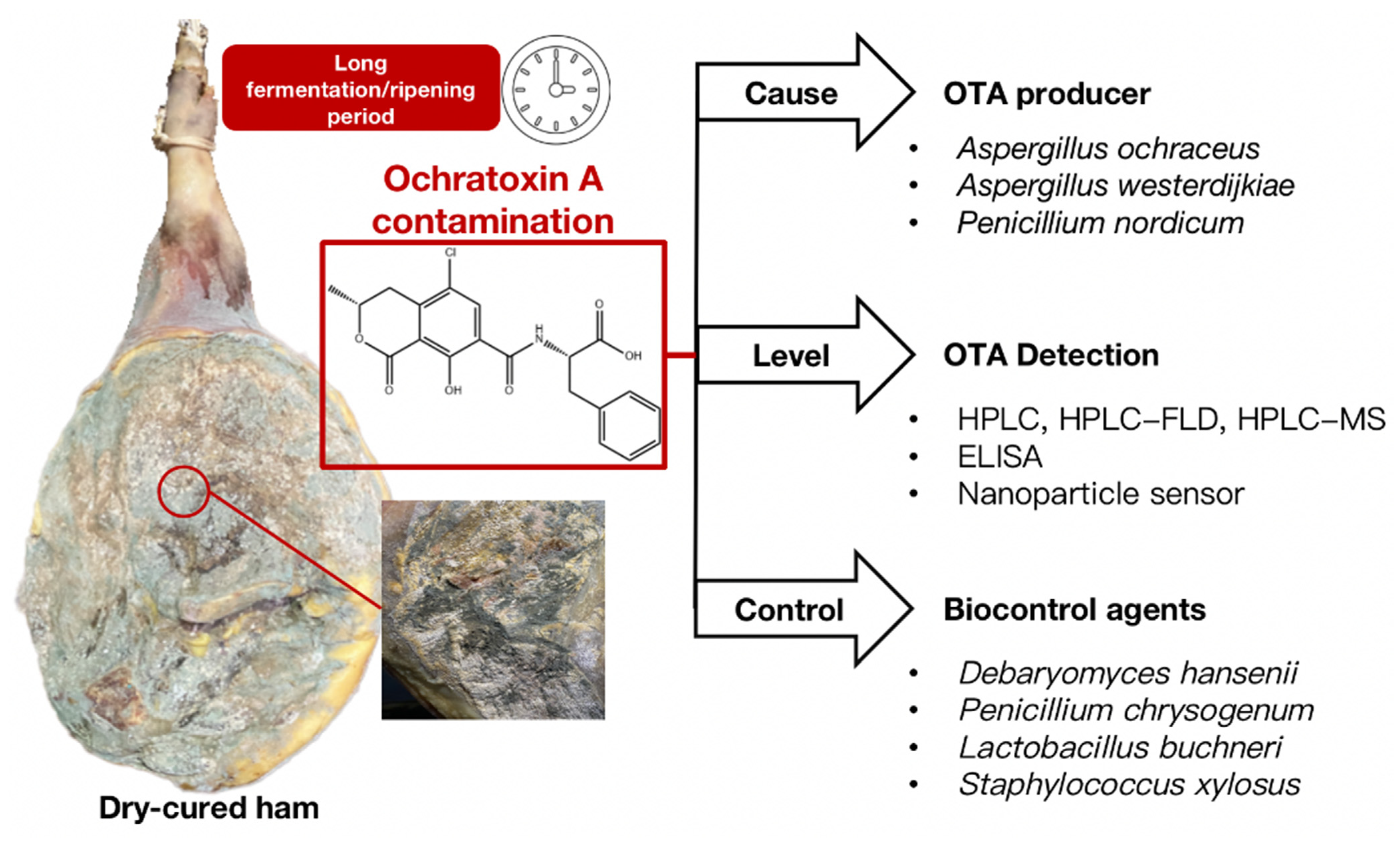 Toxins 14 00693 g001
