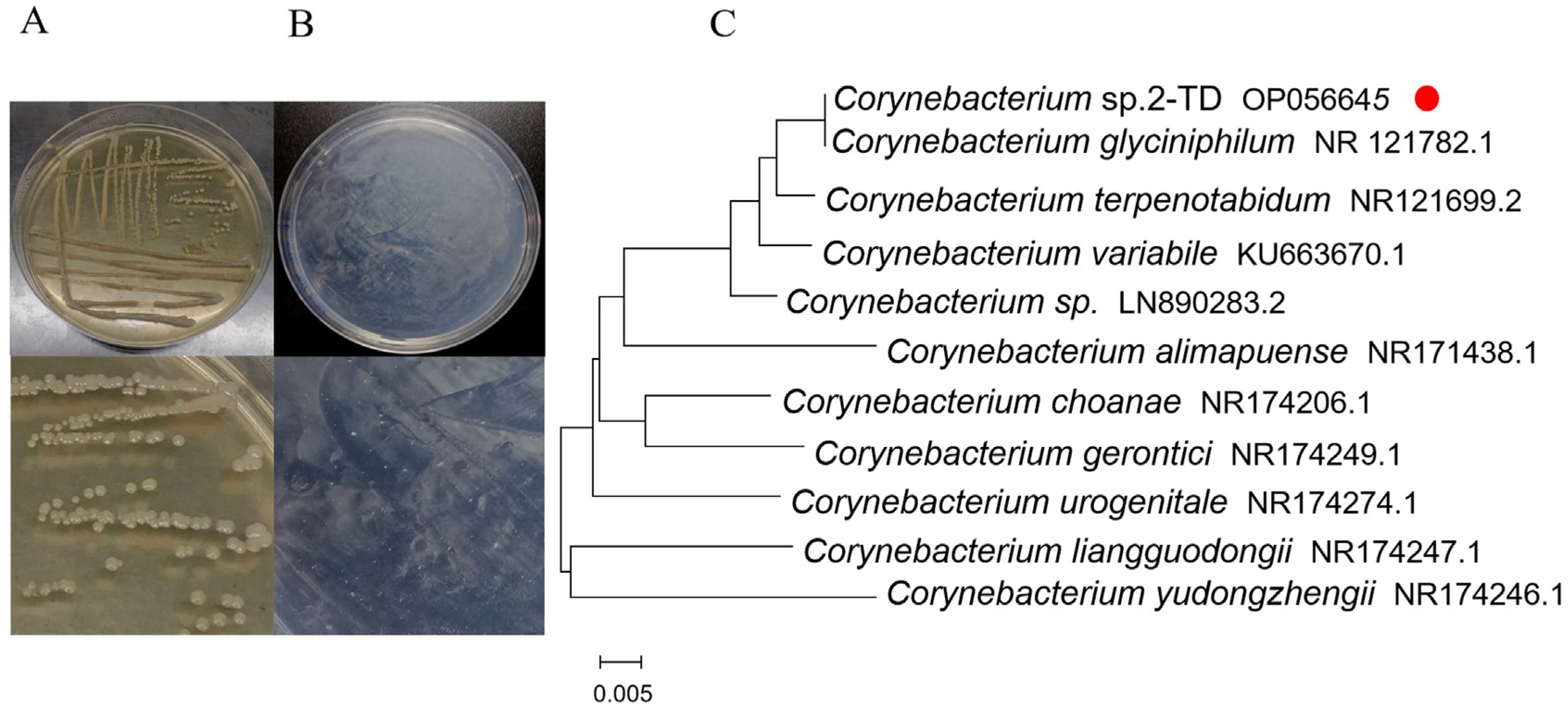 Toxins 14 00698 g001 Toxins 14 00698 g001