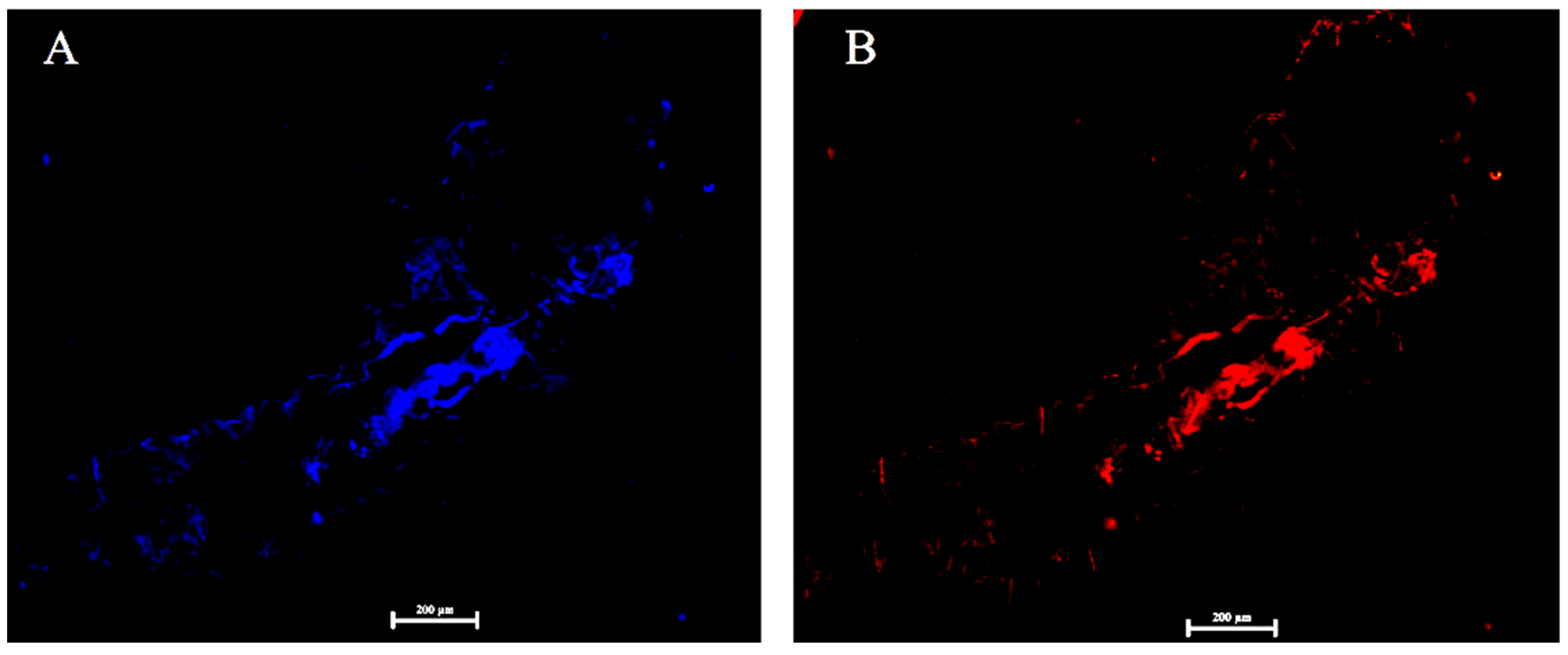 Toxins 14 00698 g003 Toxins 14 00698 g003