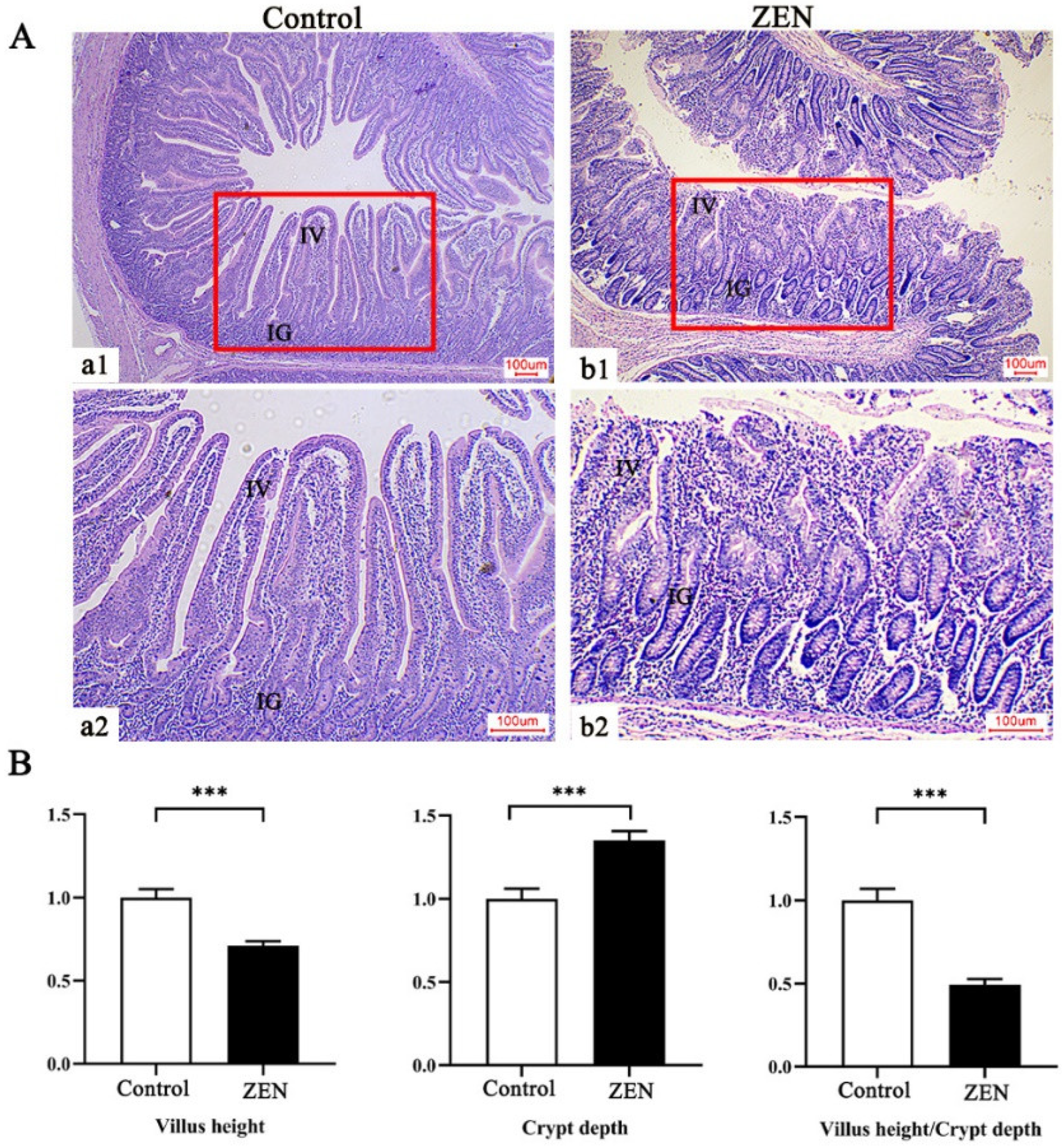 Toxins 14 00702 g001 Toxins 14 00702 g001