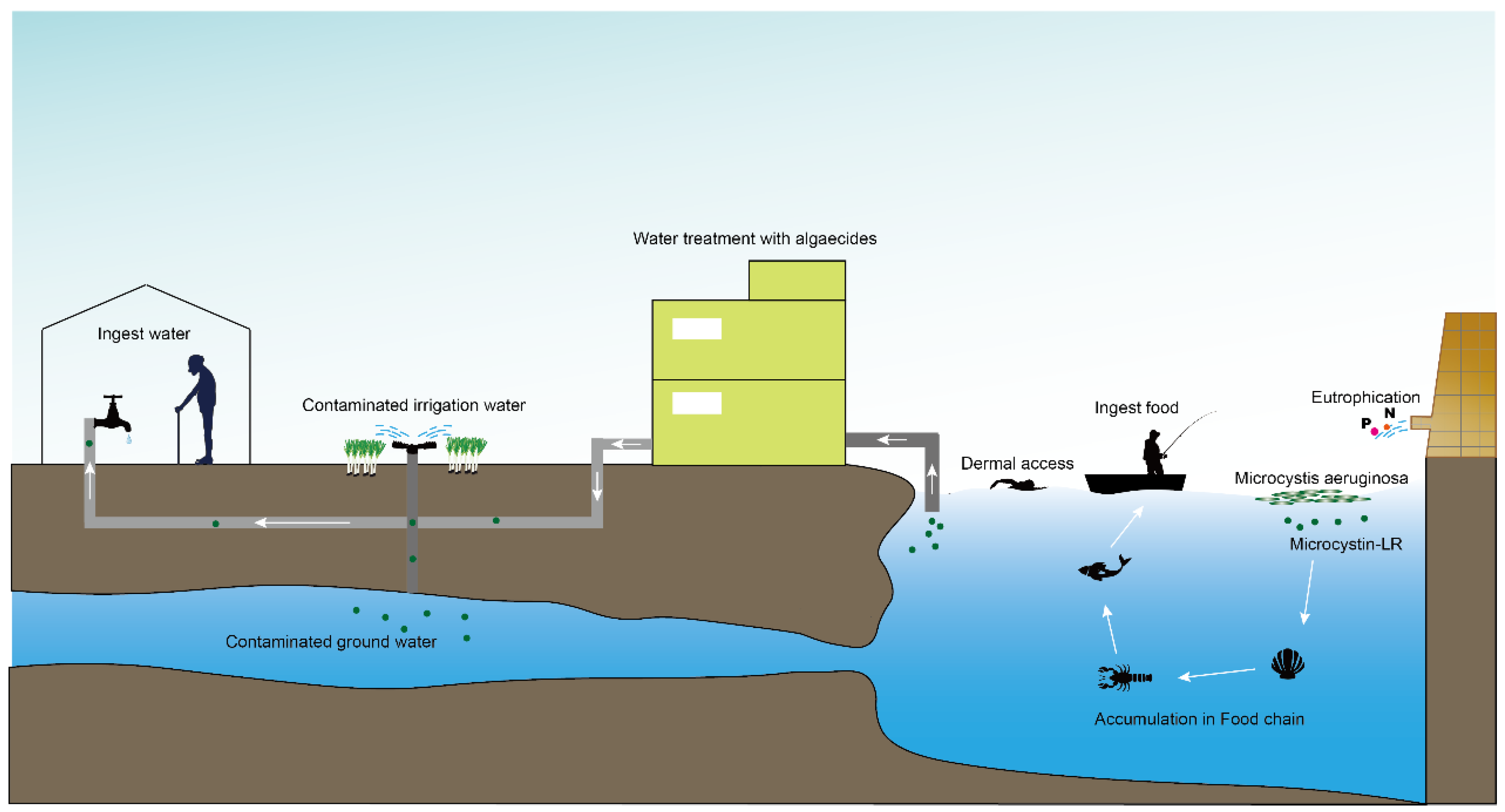 Toxins 14 00715 g002 Toxins 14 00715 g002