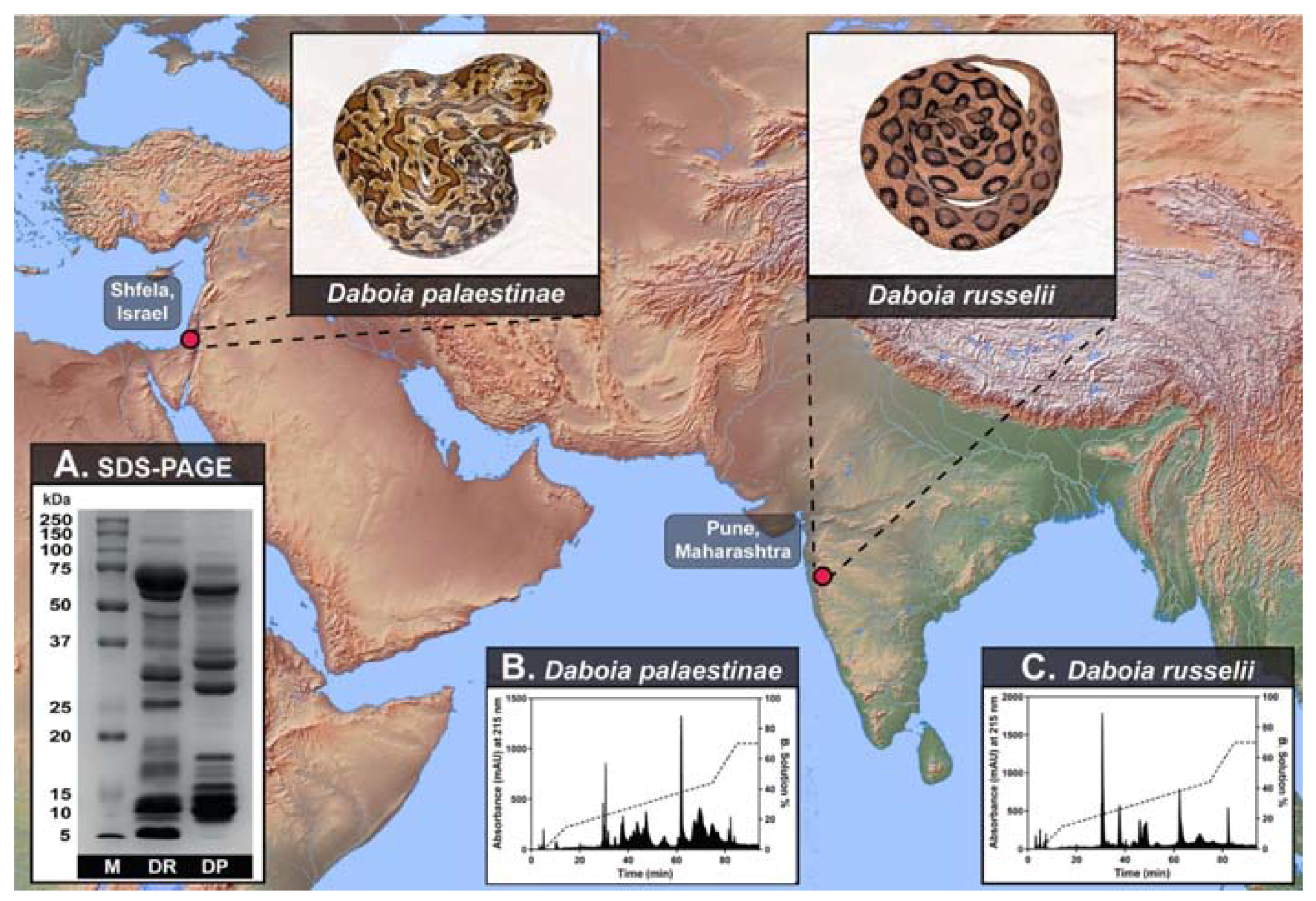 Toxins 14 00725 g001