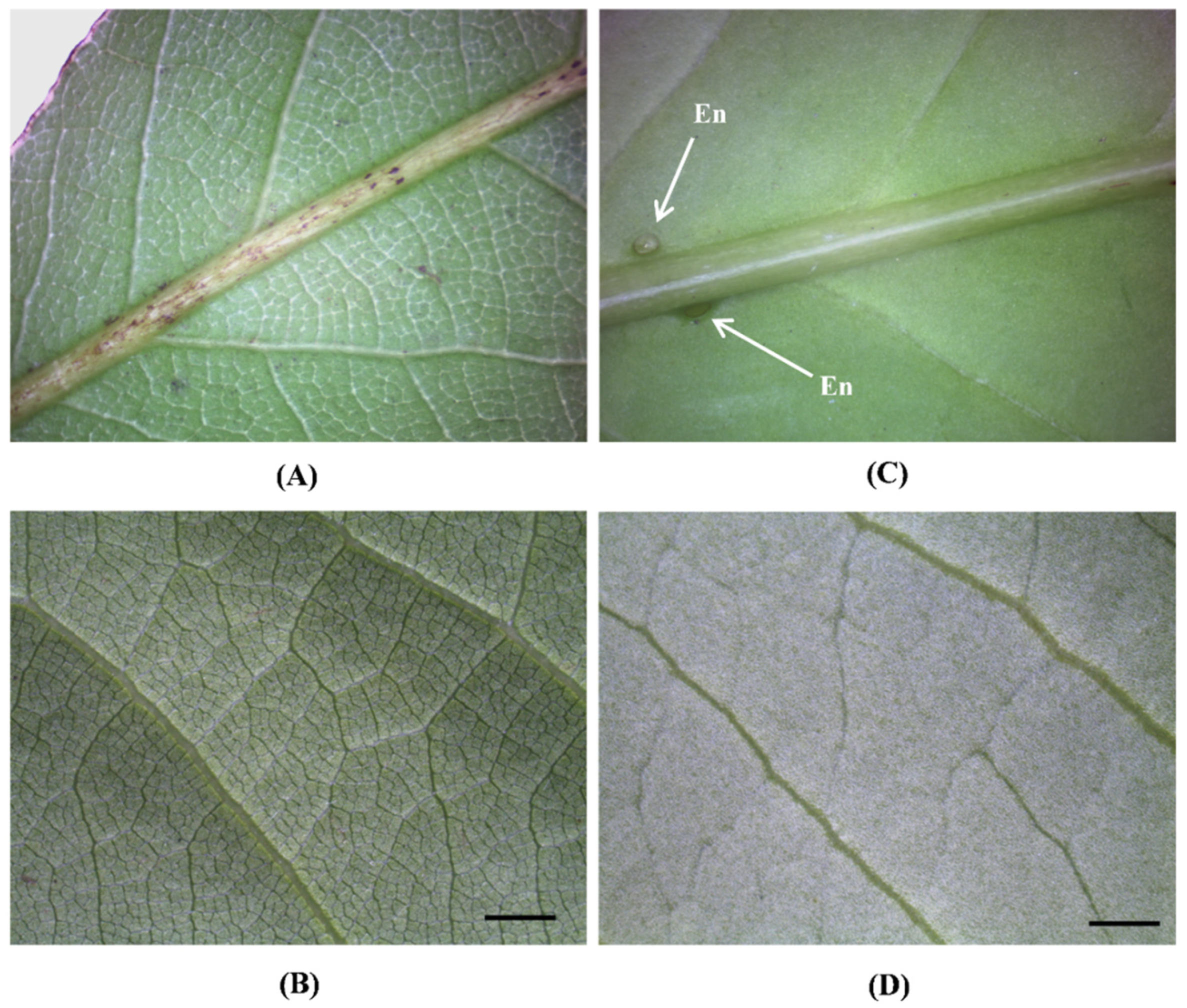 Toxins 14 00726 g002