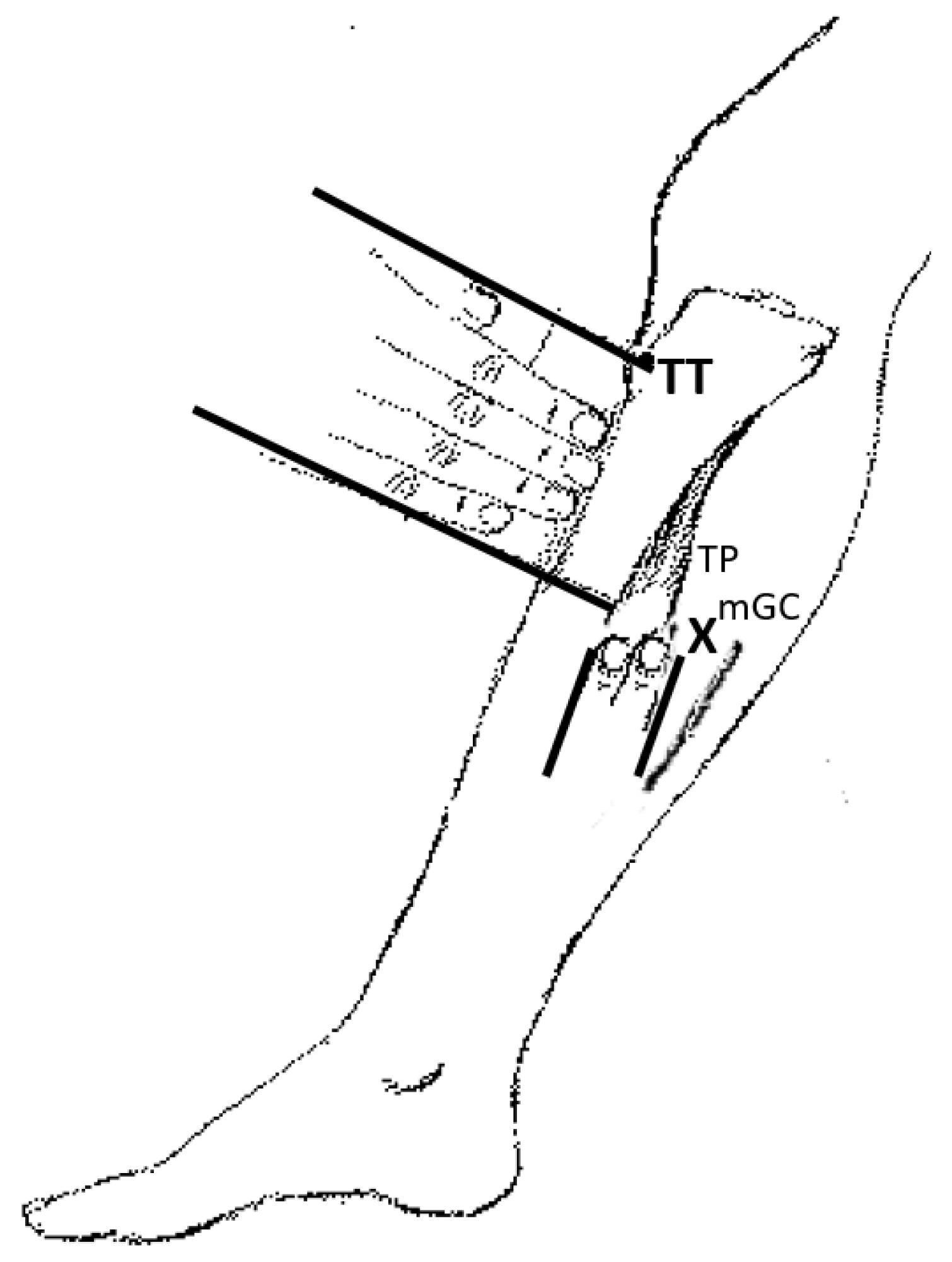 Toxins 14 00739 g006 Toxins 14 00739 g006