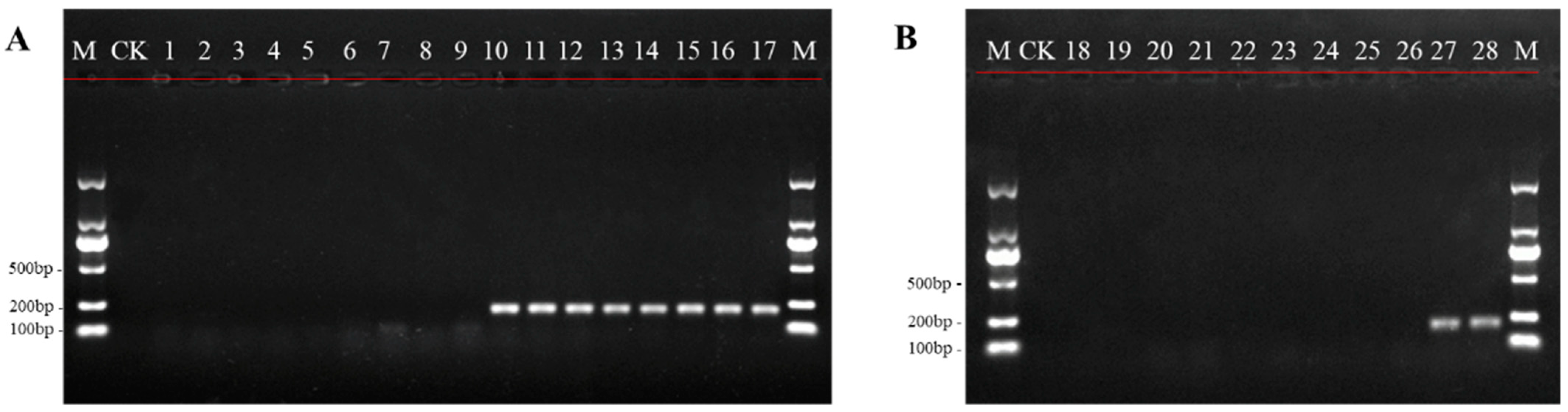 Toxins 14 00776 g001