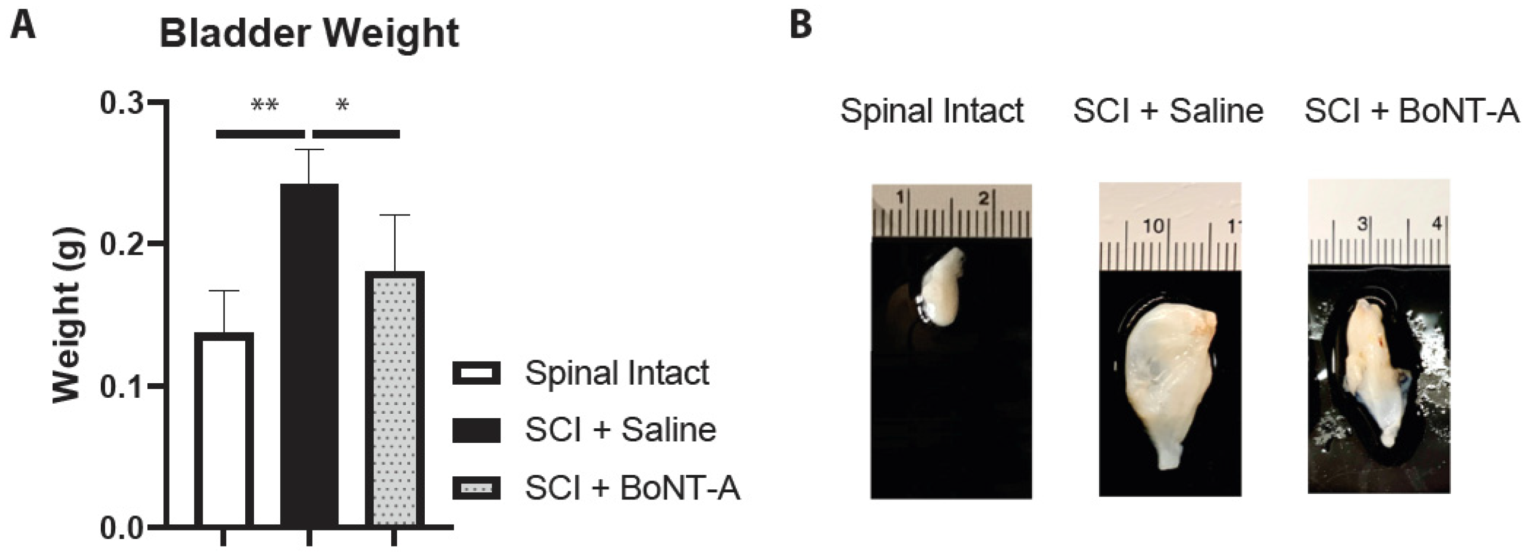 Toxins 14 00777 g001 Toxins 14 00777 g001