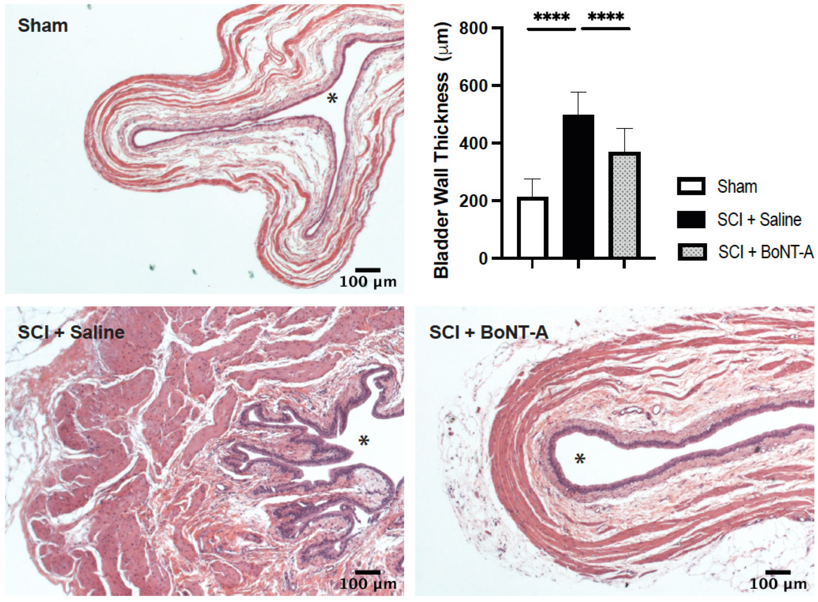 Toxins 14 00777 g002 Toxins 14 00777 g002