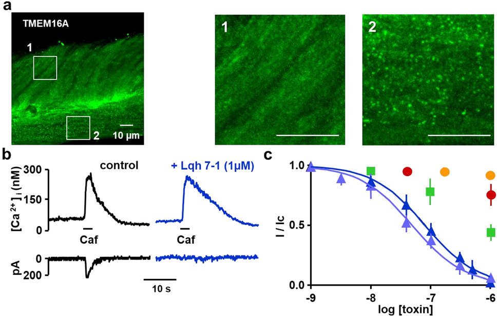 Toxins 14 00780 g003 Toxins 14 00780 g003