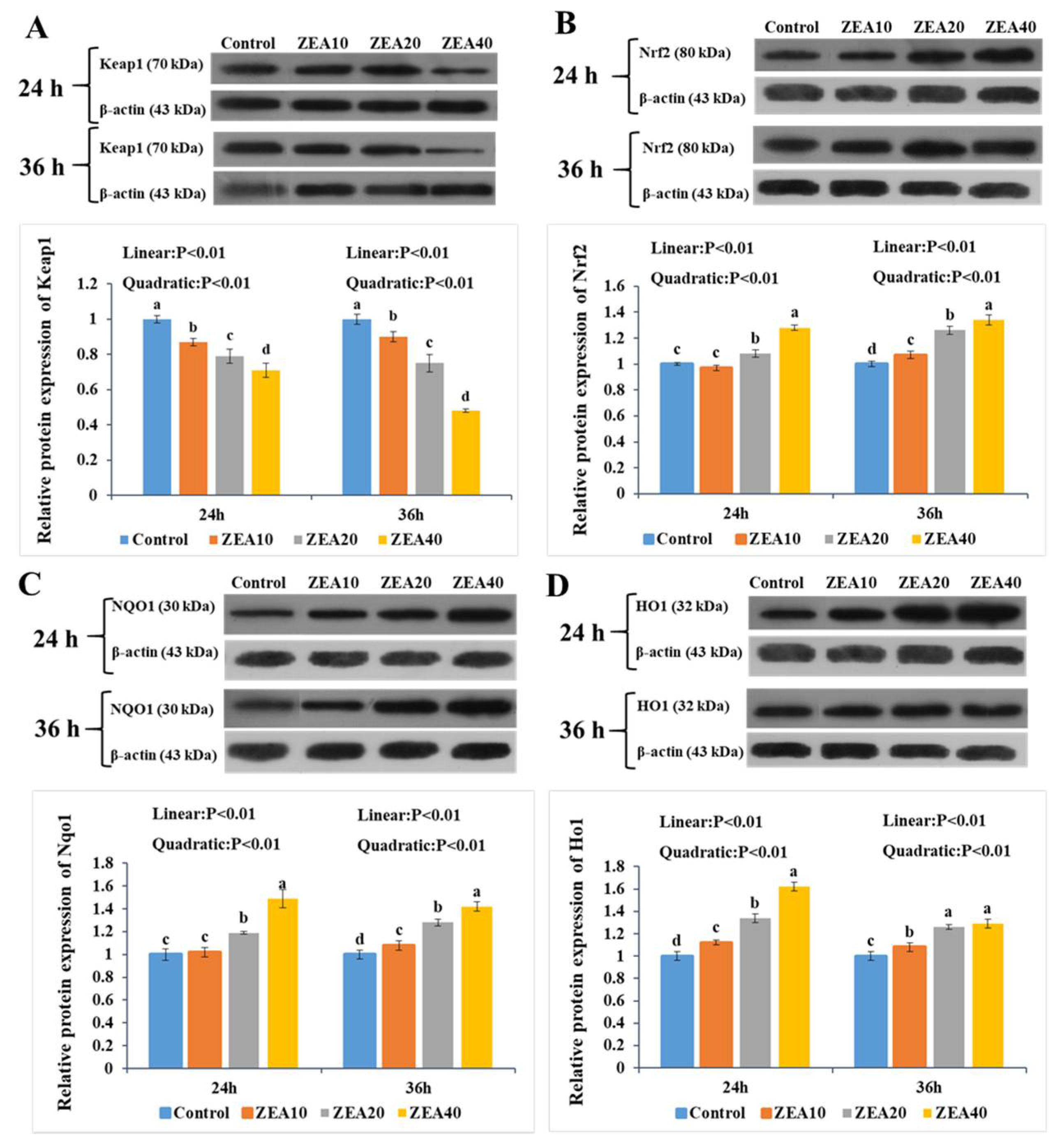 Toxins 14 00793 g010