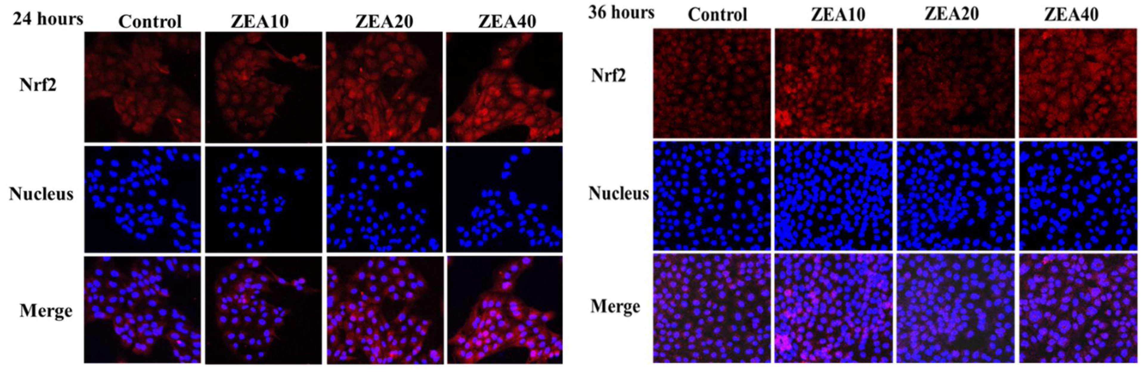 Toxins 14 00793 g012