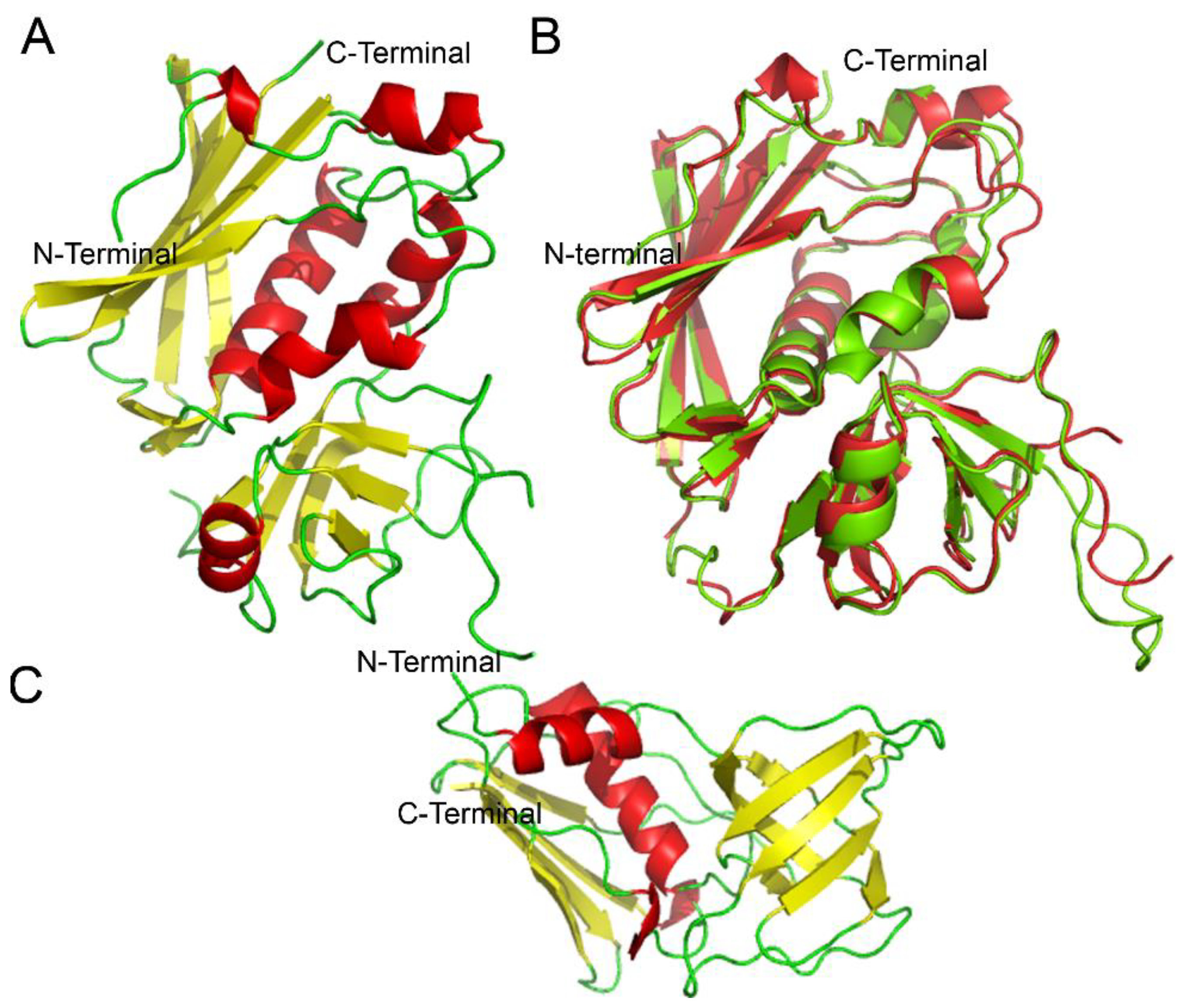 Toxins 14 00800 g001