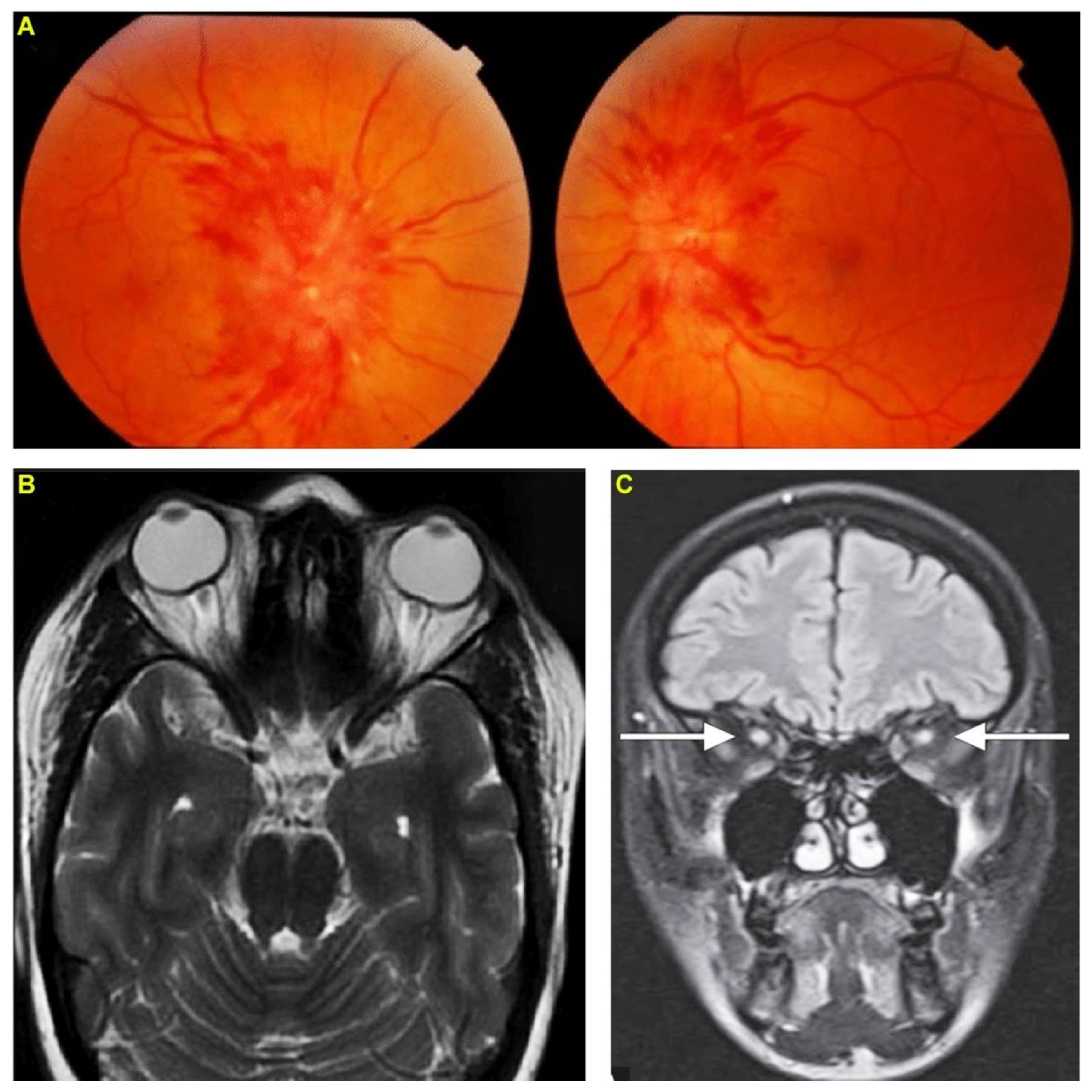 Toxins 14 00805 g001