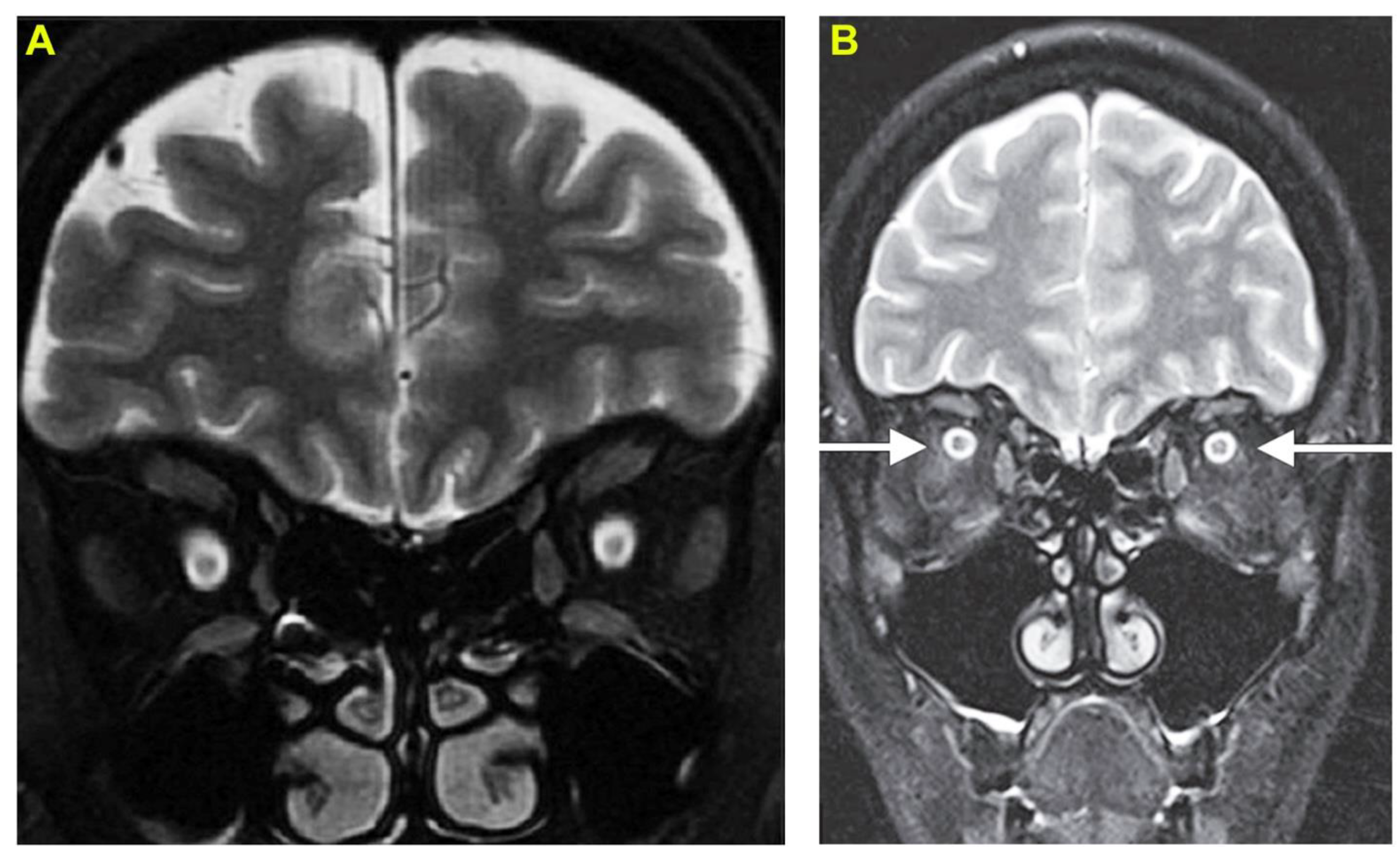 Toxins 14 00805 g002