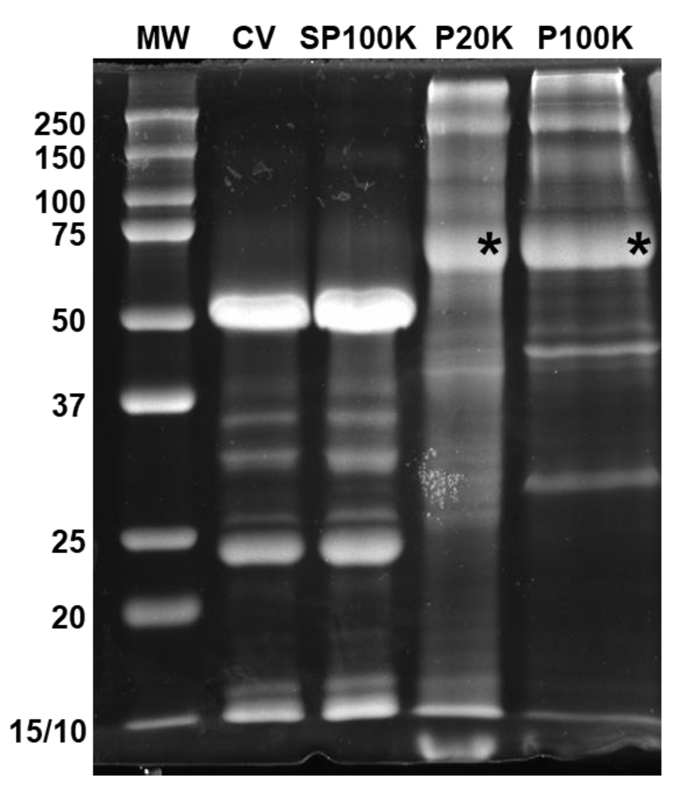 Toxins 14 00806 g002 Toxins 14 00806 g002