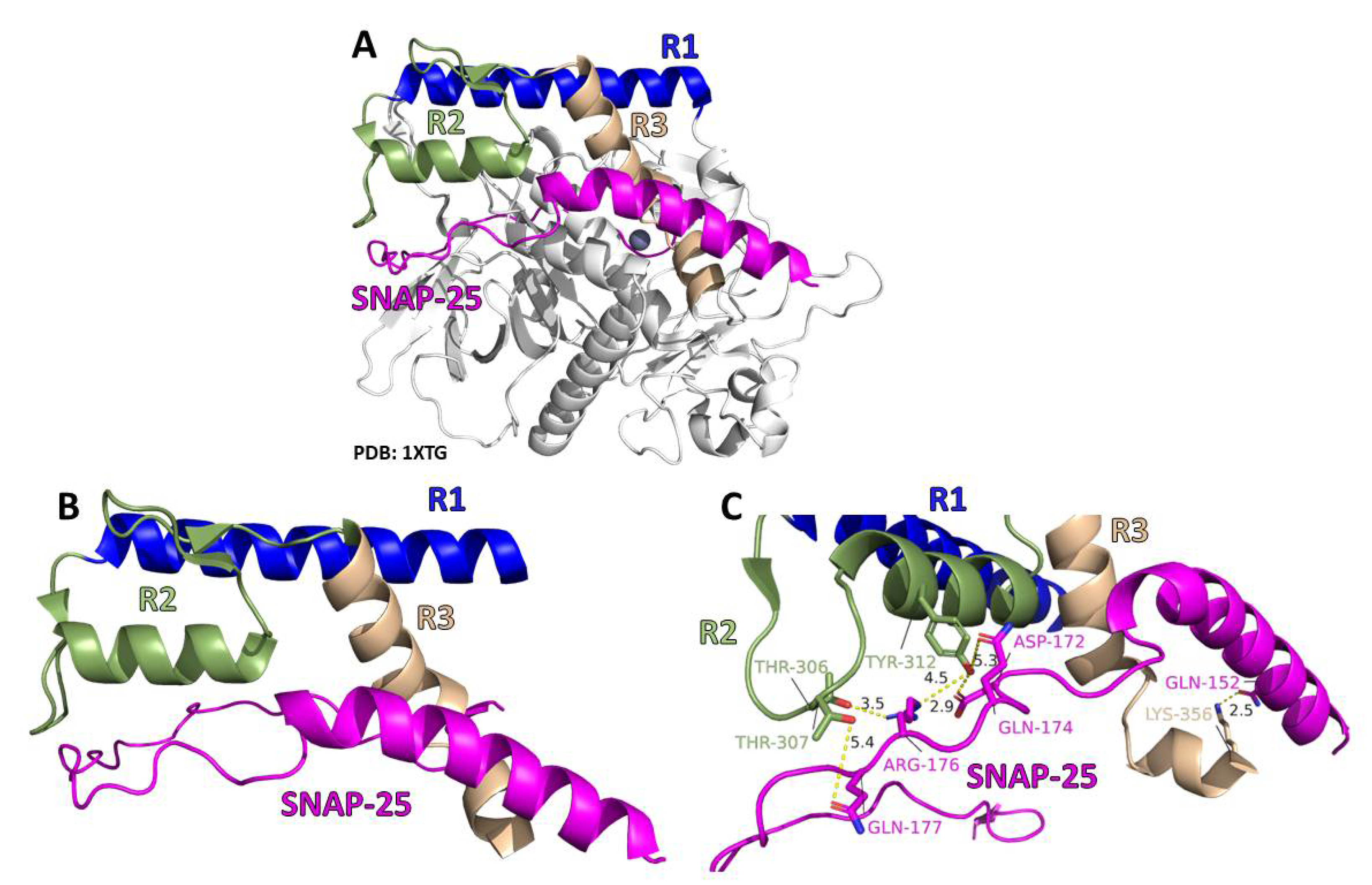 Toxins 14 00814 g001 Toxins 14 00814 g001