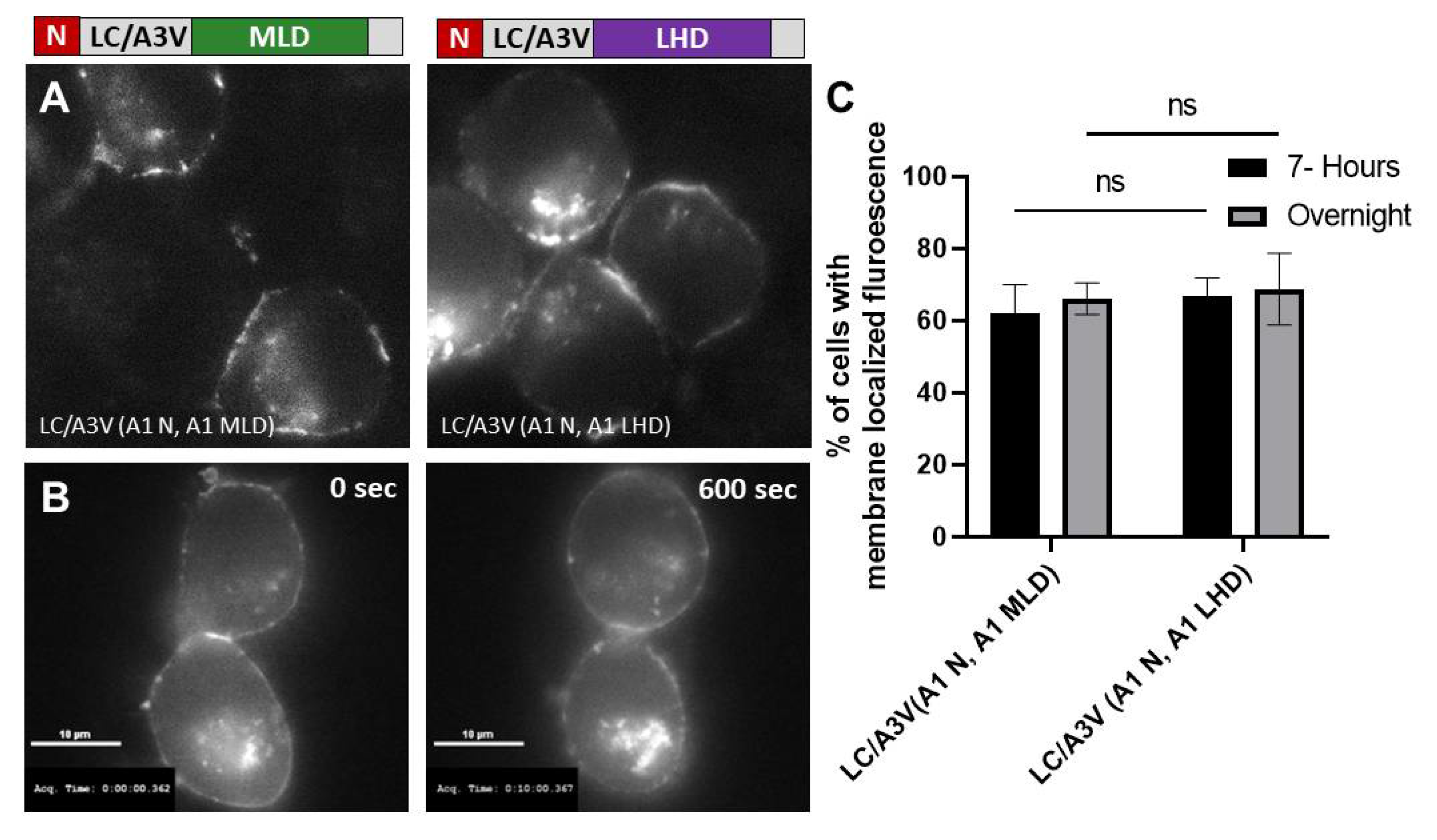 Toxins 14 00814 g004 Toxins 14 00814 g004