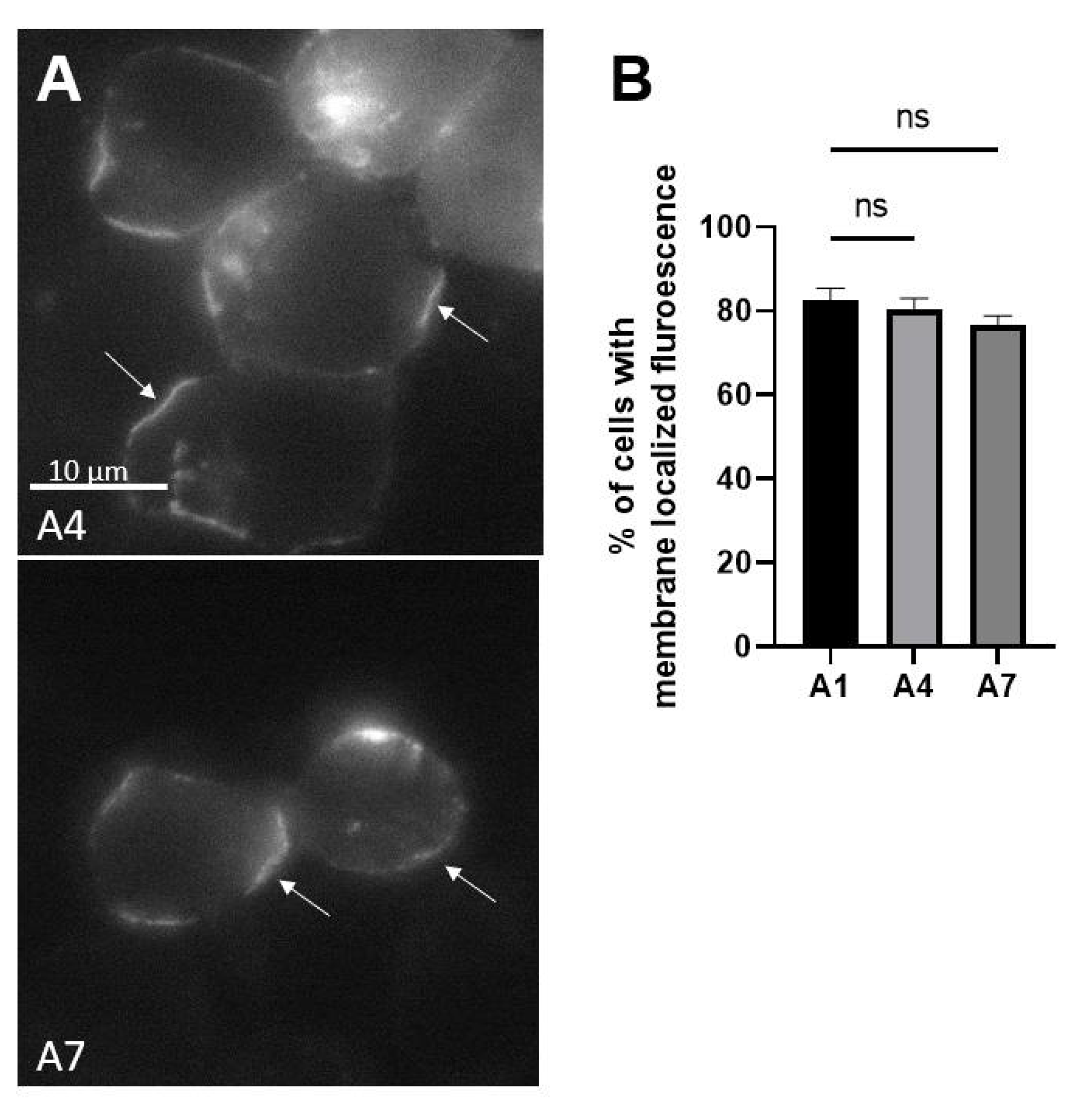 Toxins 14 00814 g008 Toxins 14 00814 g008