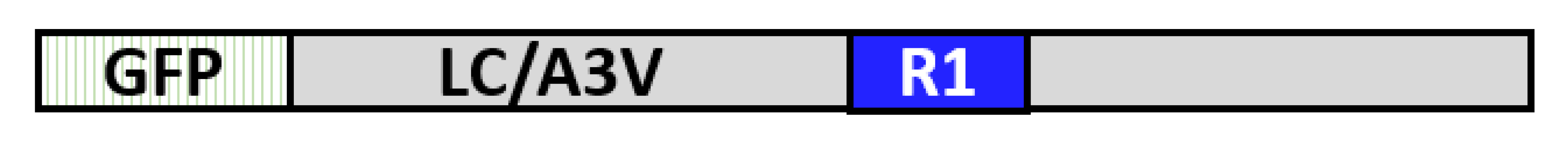 Toxins 14 00814 i001 Toxins 14 00814 i001