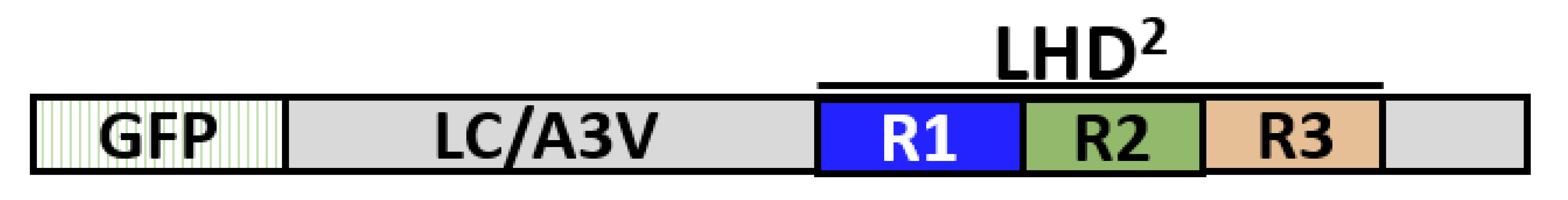 Toxins 14 00814 i007 Toxins 14 00814 i007