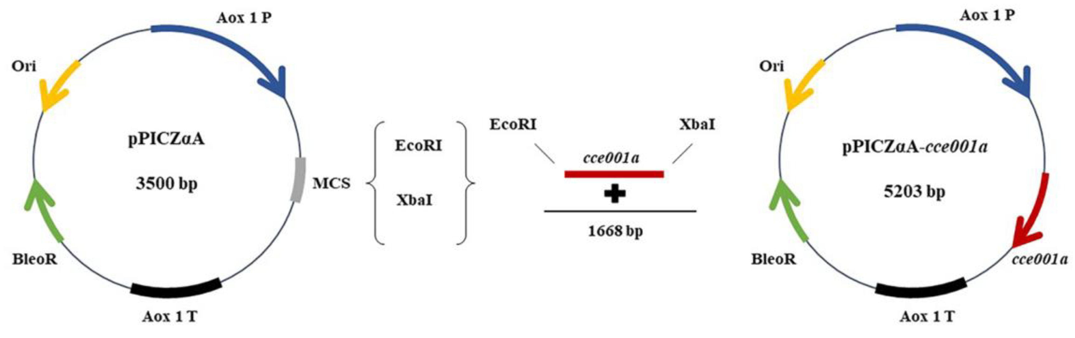 Toxins 14 00816 g001
