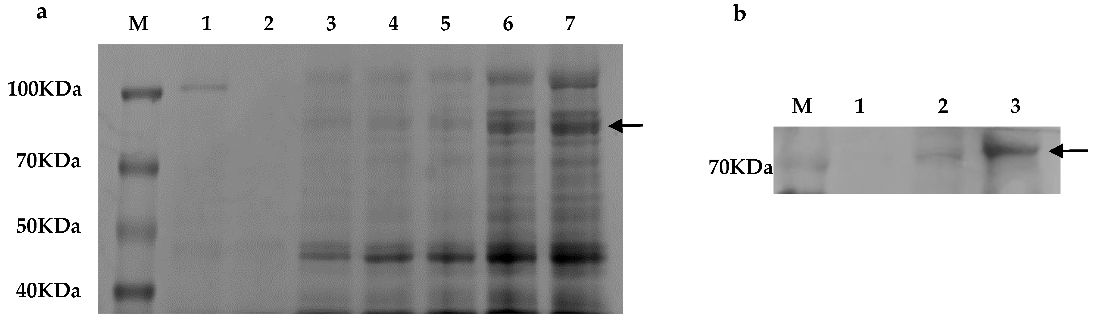 Toxins 14 00816 g004