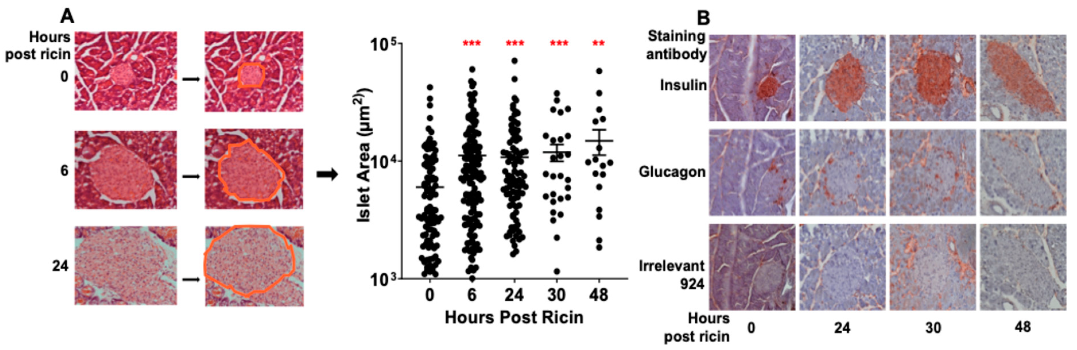 Toxins 14 00820 g008