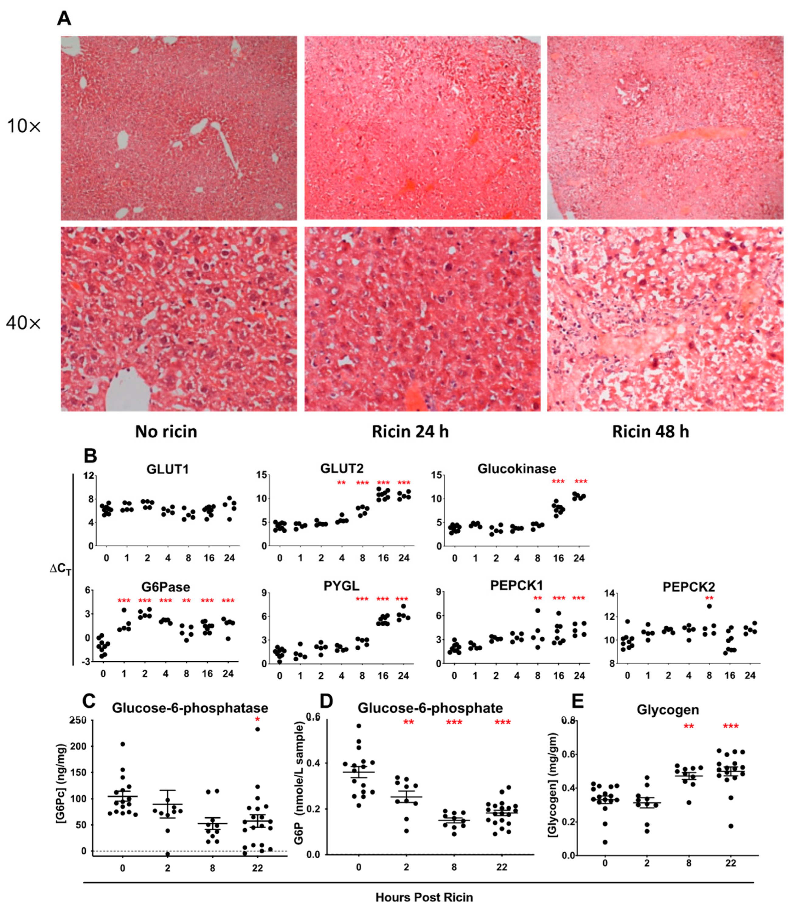 Toxins 14 00820 g010