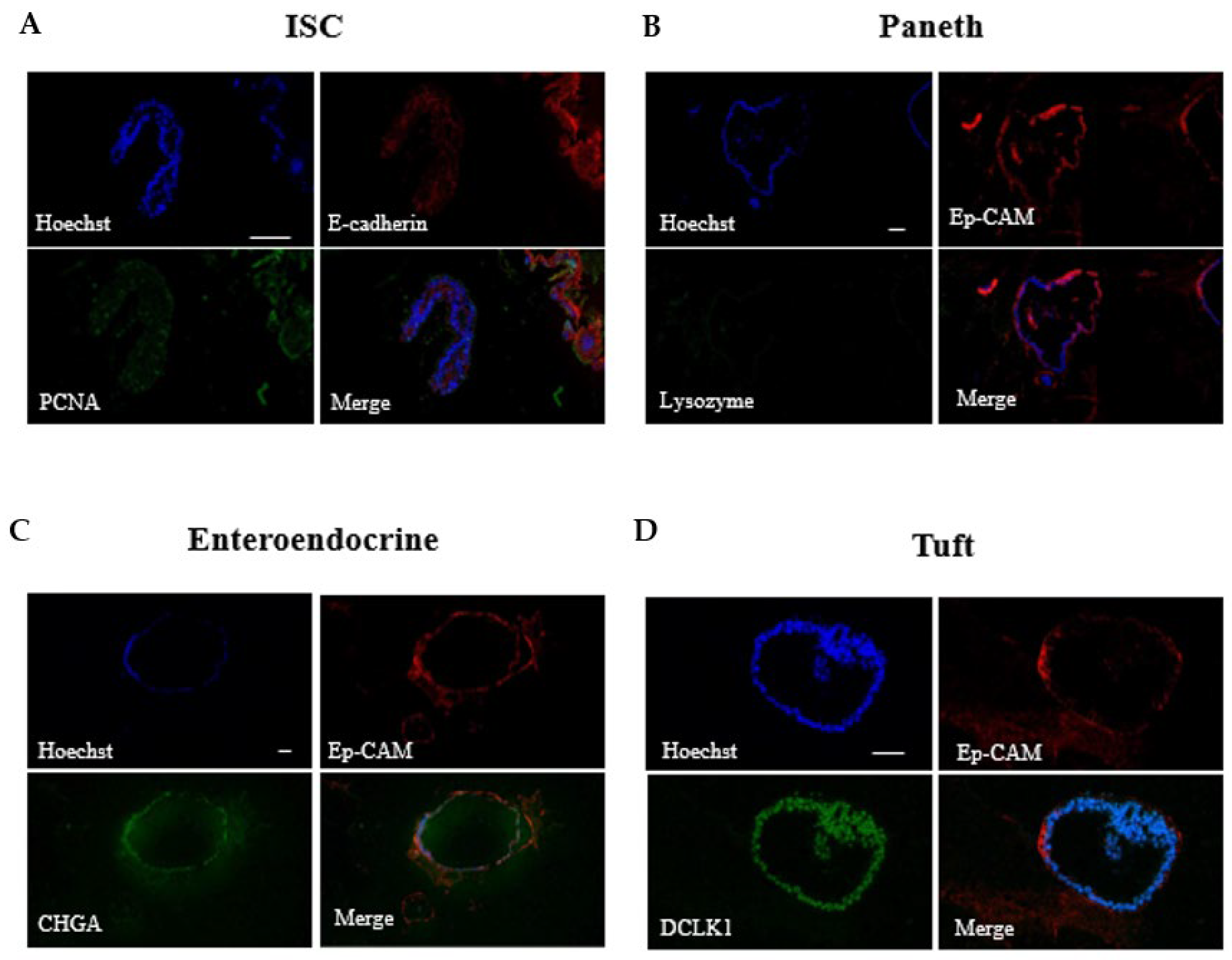 Toxins 14 00829 g002 Toxins 14 00829 g002