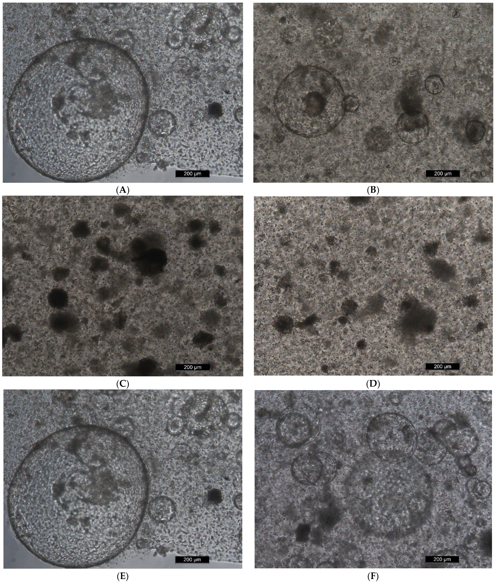 Toxins 14 00829 g003a Toxins 14 00829 g003a
