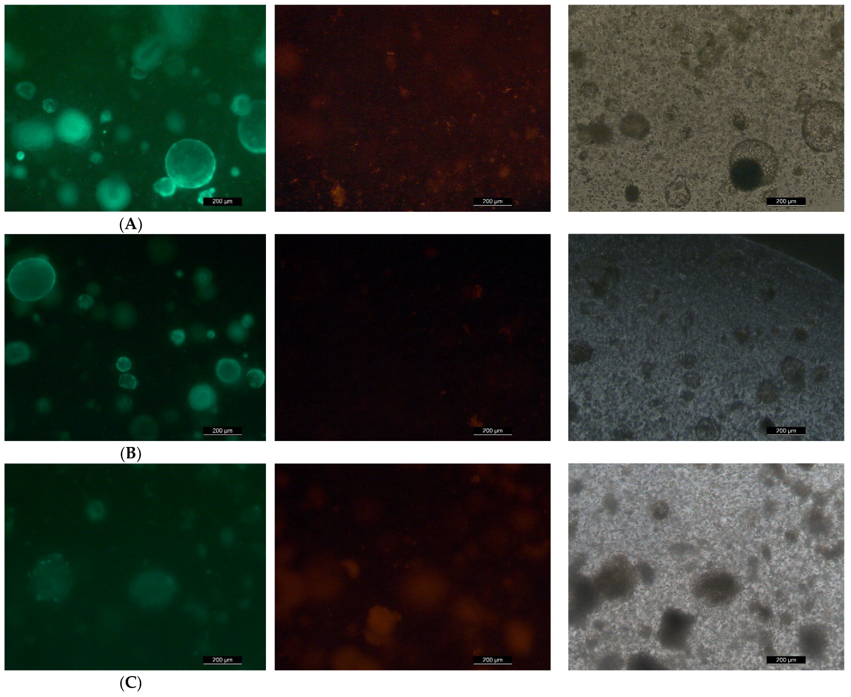 Toxins 14 00829 g004a Toxins 14 00829 g004a