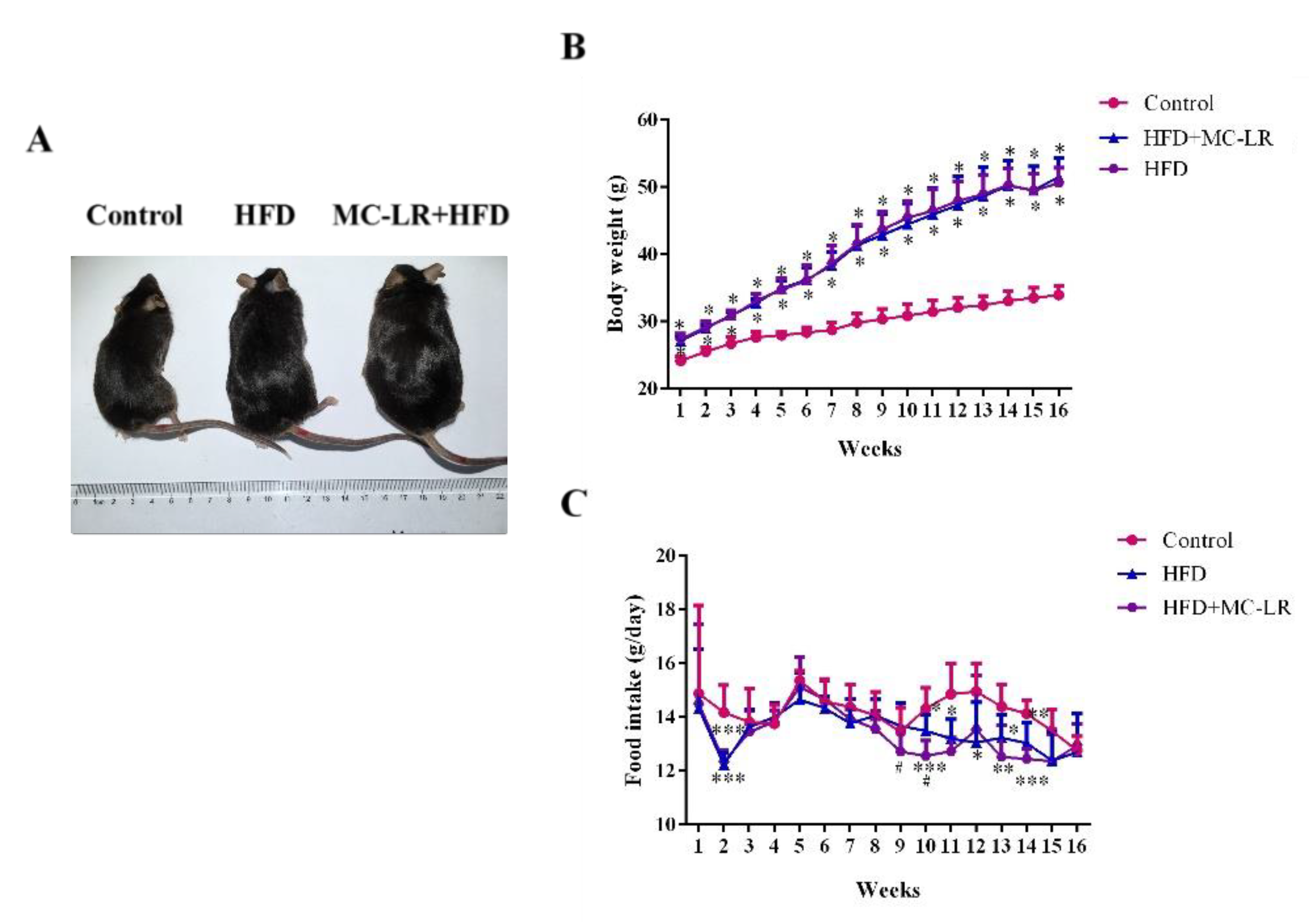 Toxins 14 00833 g001 Toxins 14 00833 g001