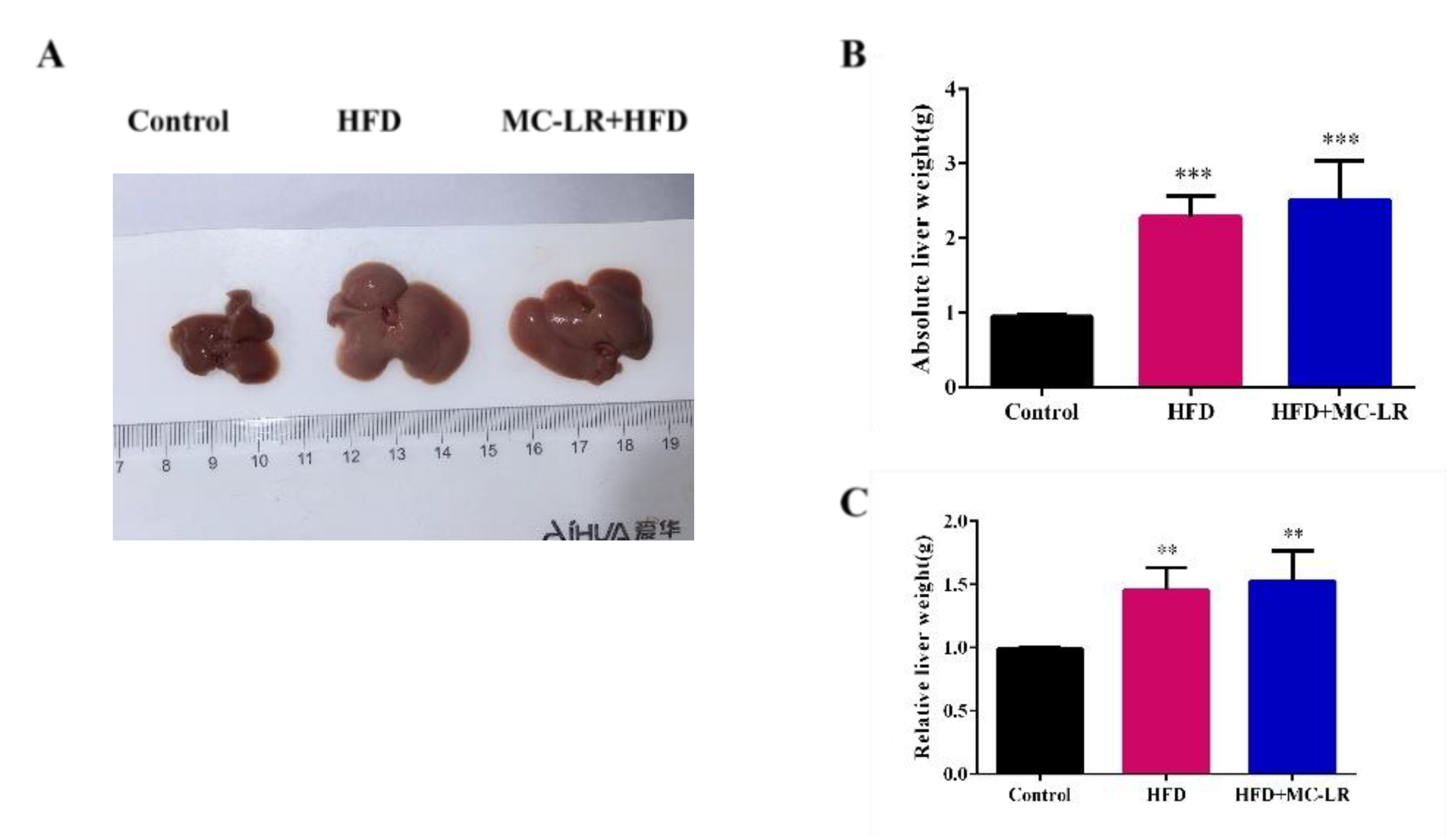 Toxins 14 00833 g002 Toxins 14 00833 g002