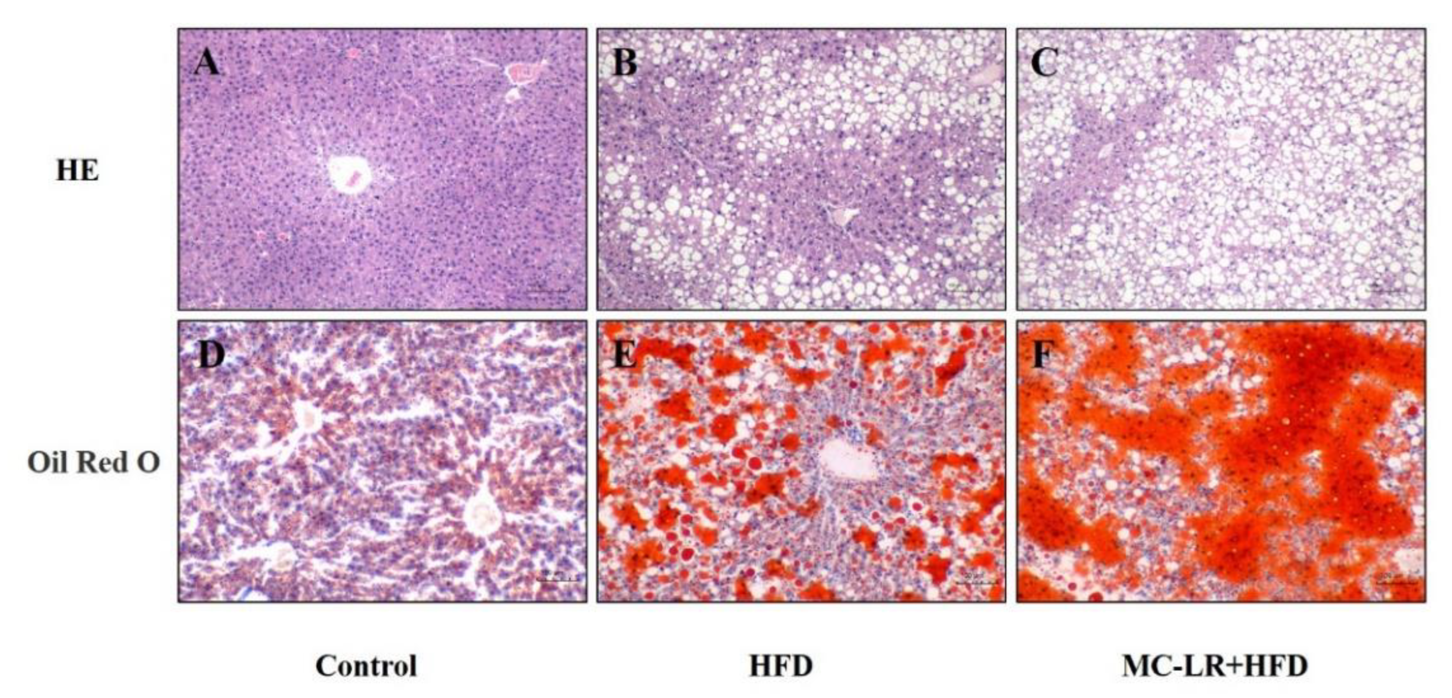 Toxins 14 00833 g005 Toxins 14 00833 g005