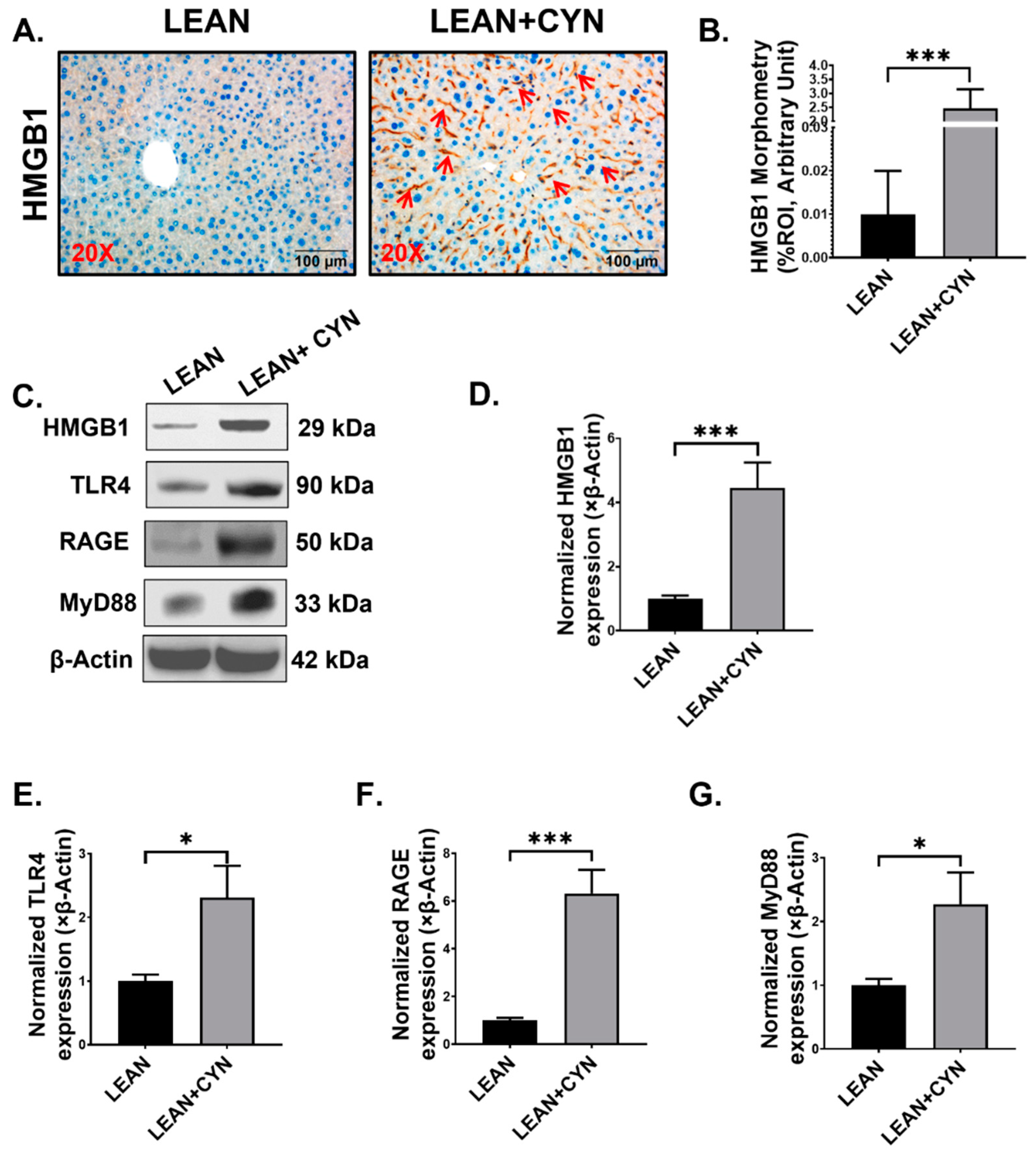 Toxins 14 00835 g008