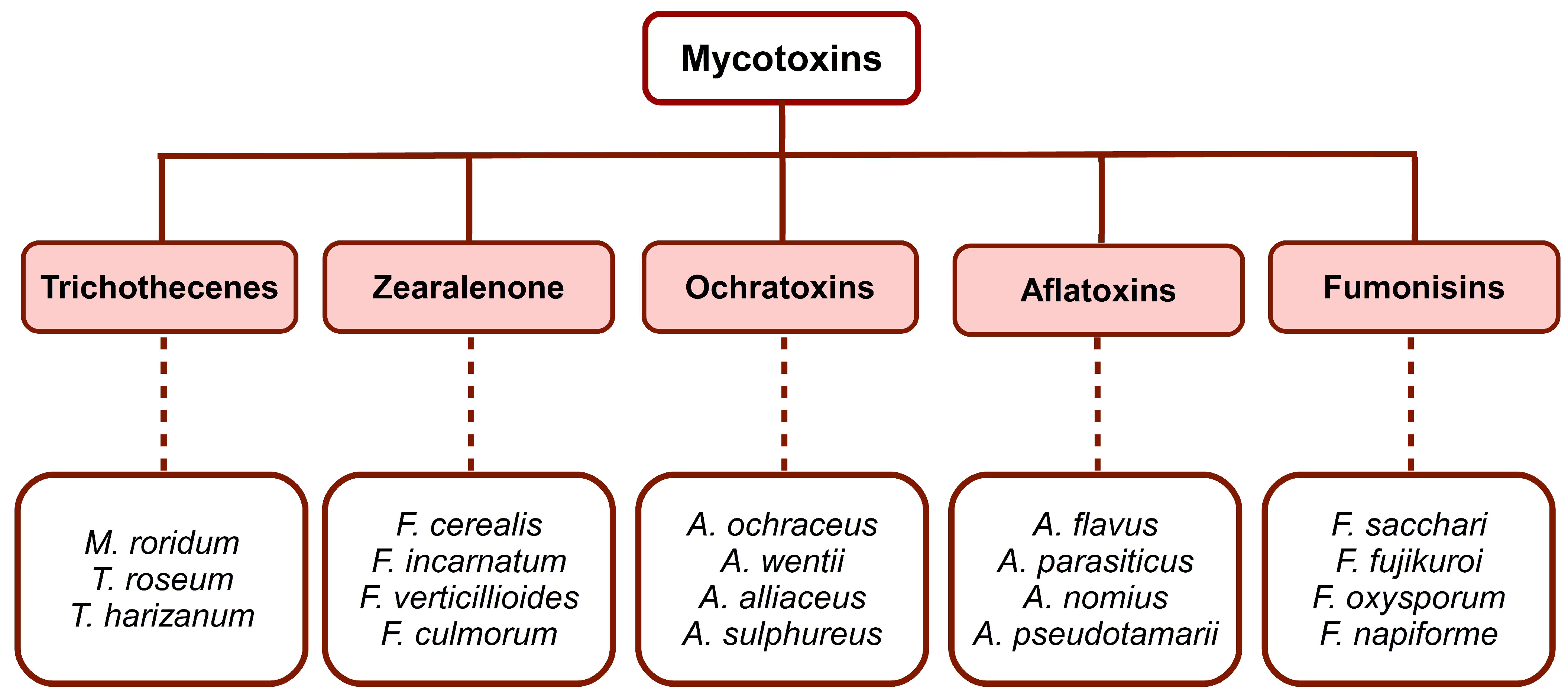 Toxins, Free Full-Text