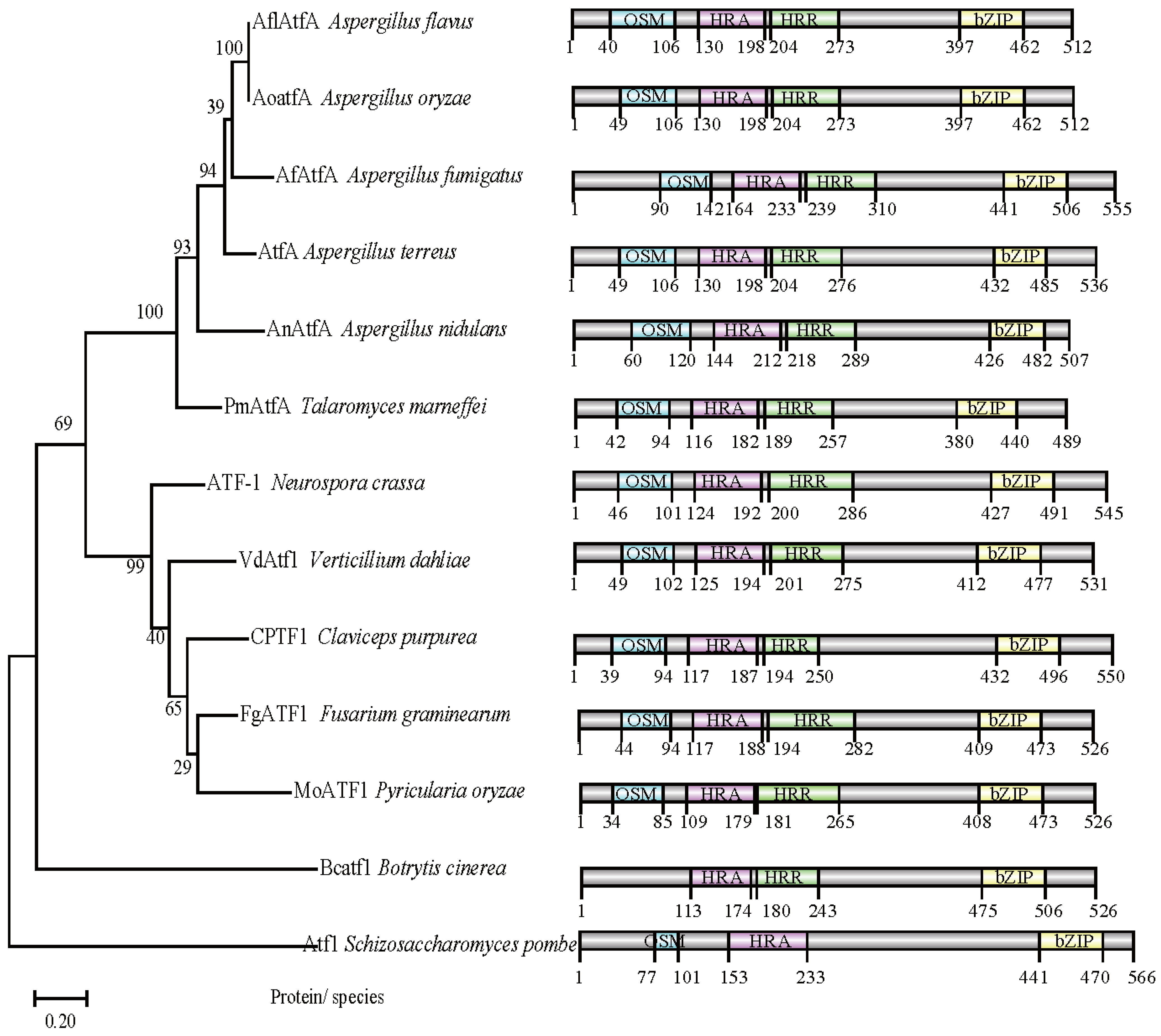 Toxins 14 00857 g001 Toxins 14 00857 g001