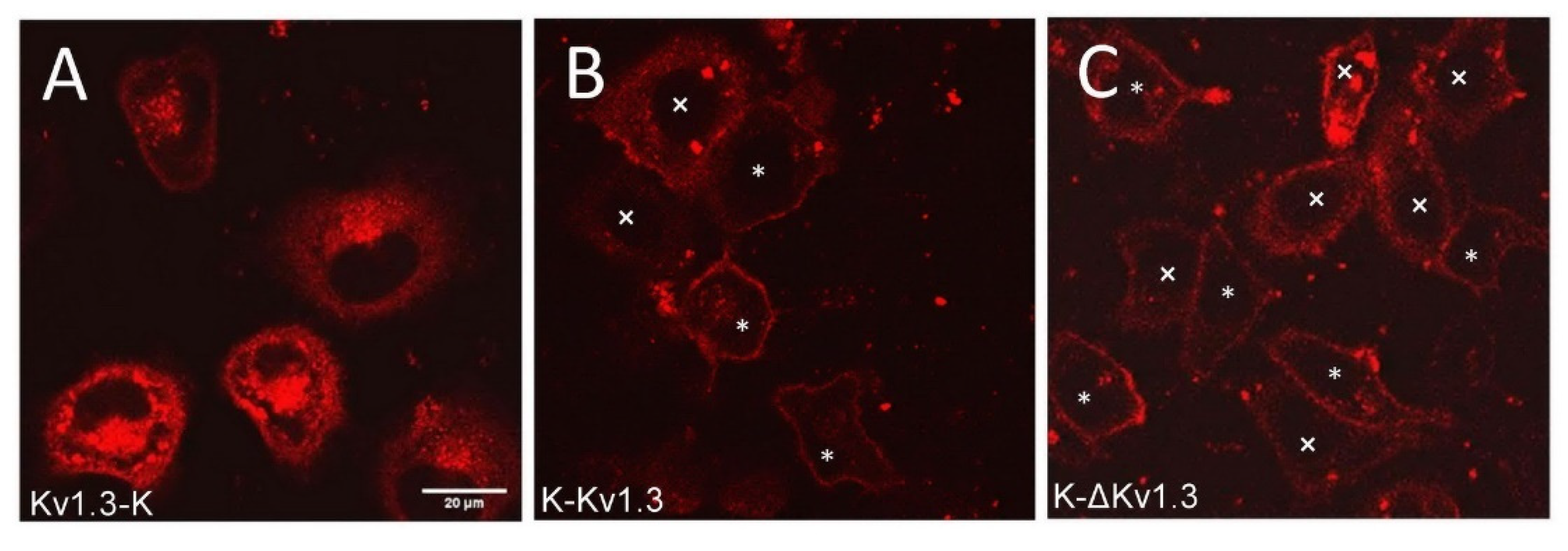 Toxins 14 00858 g001 Toxins 14 00858 g001