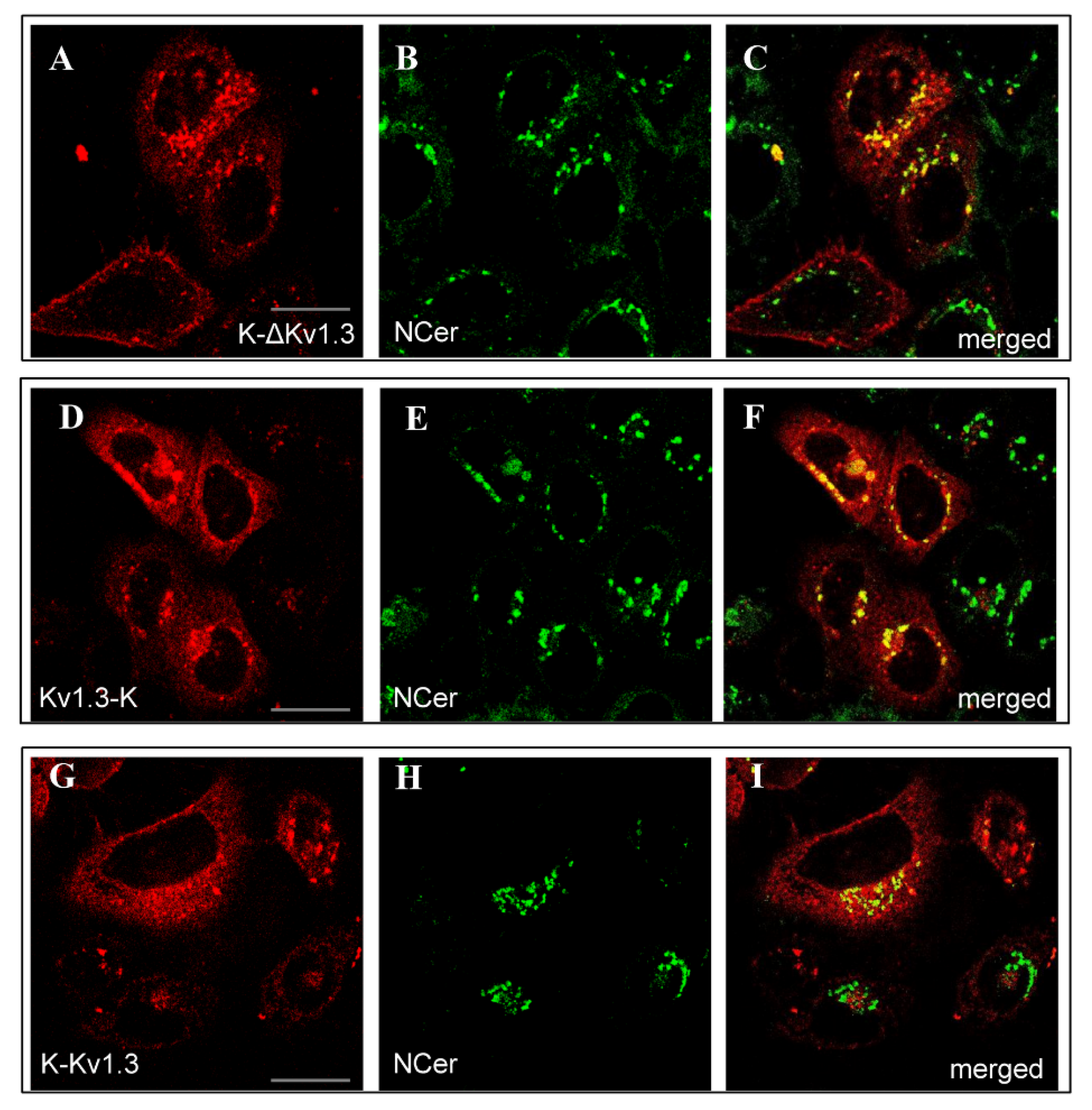 Toxins 14 00858 g002 Toxins 14 00858 g002